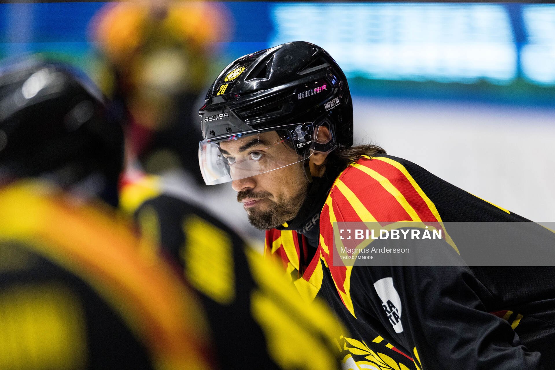 Brynäs Tyler Vesel