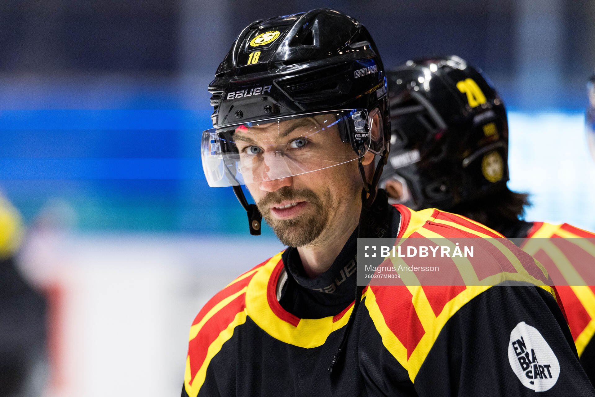Brynäs Anton Rödin