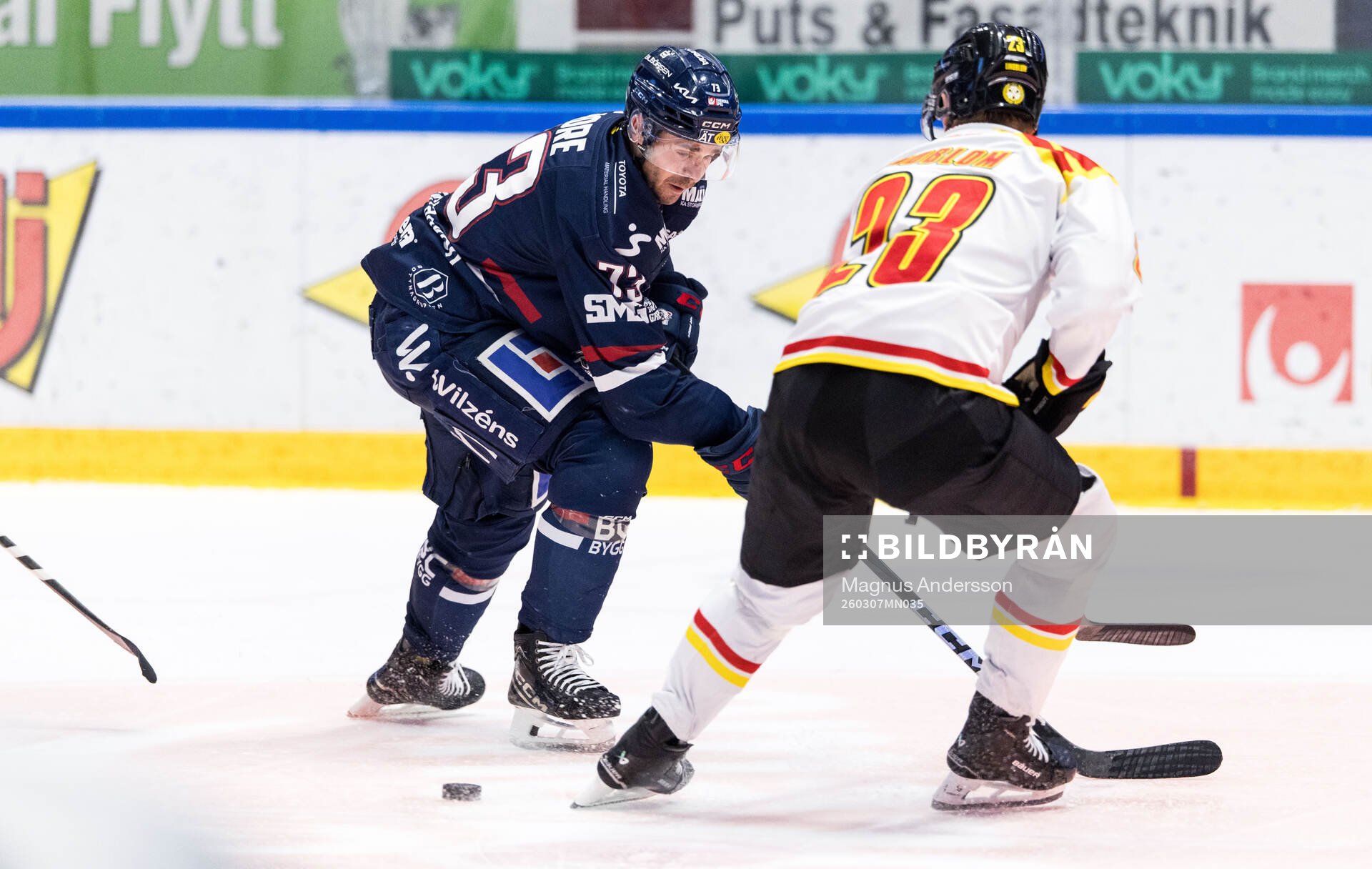 Linköpings Nicholas Shore