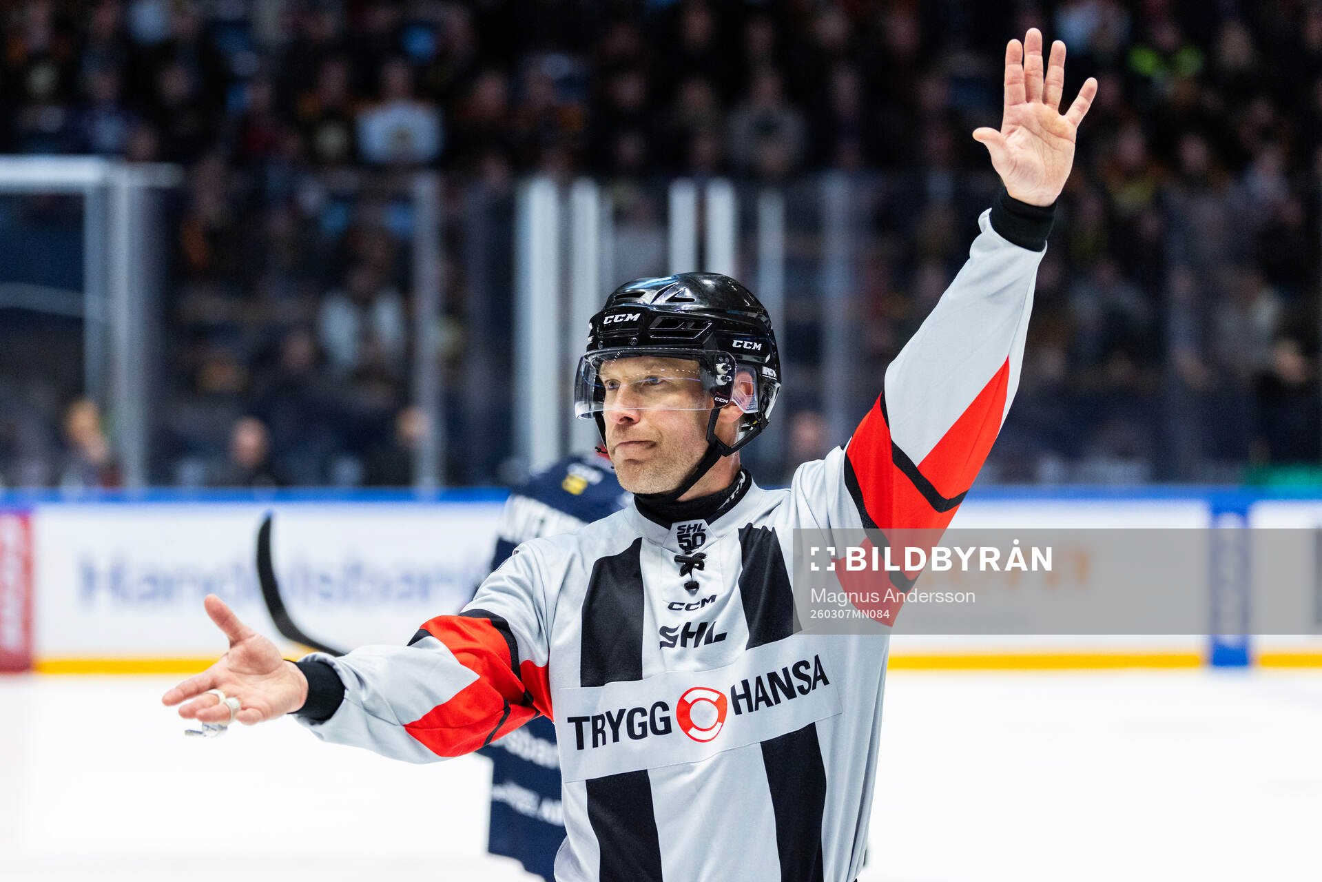 Domare Tobias Björk