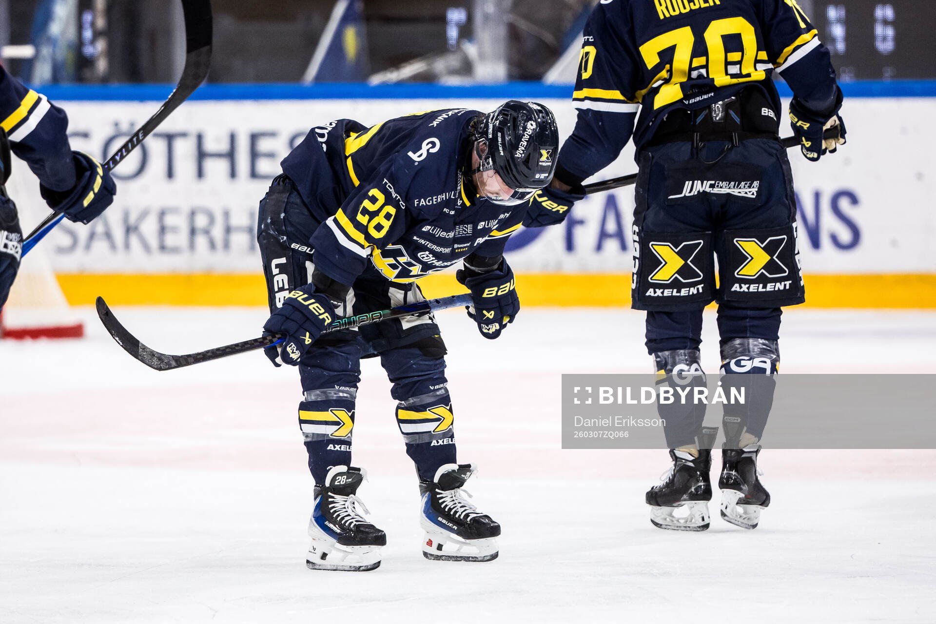 HV71s Justin Glenn Kloos