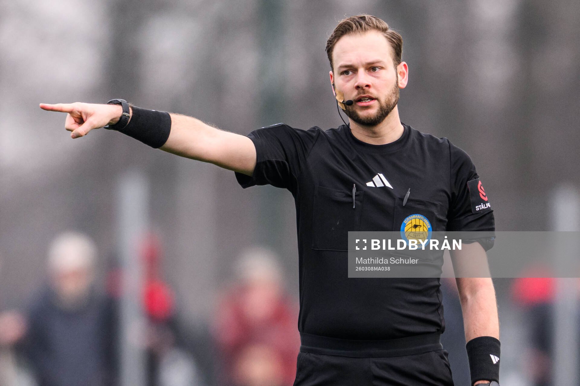 Domare Max Persson