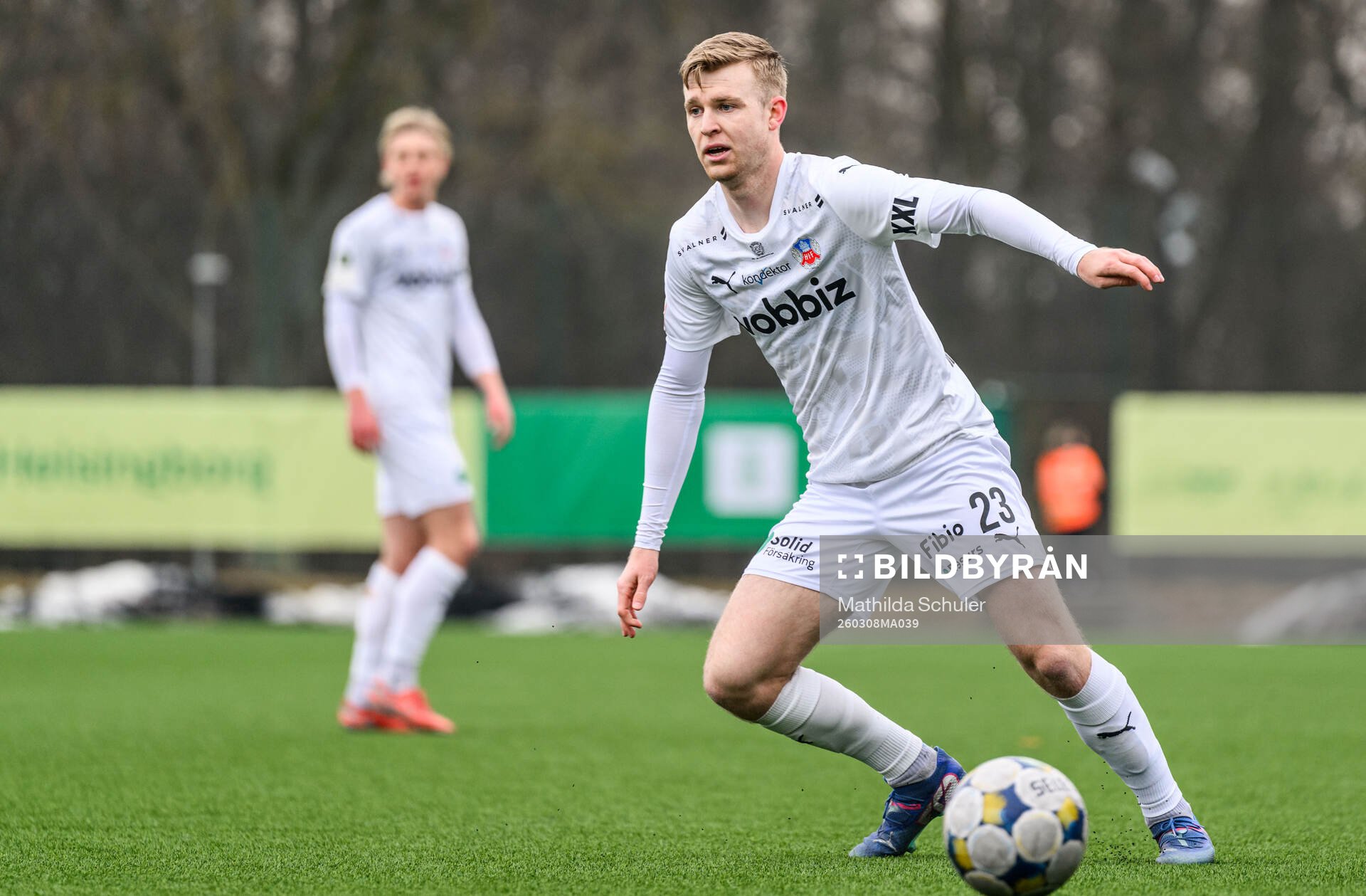 Helsingborgs William Westerlund