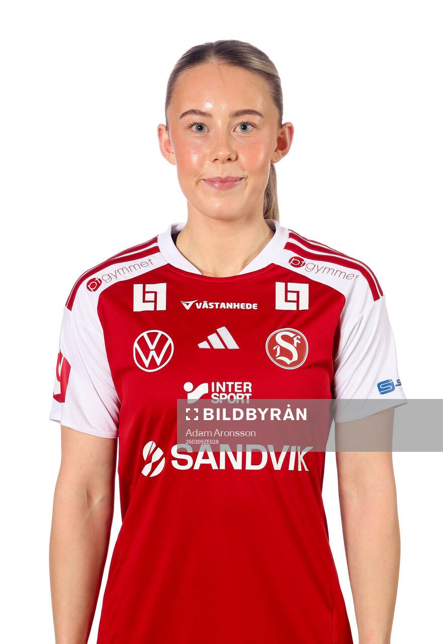 Sandvikens sanna berglund