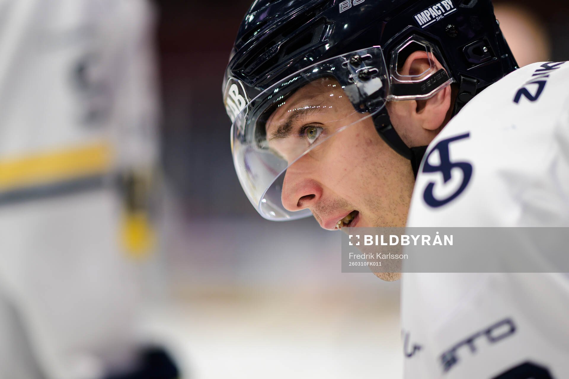 HV71s Nikola Pasic