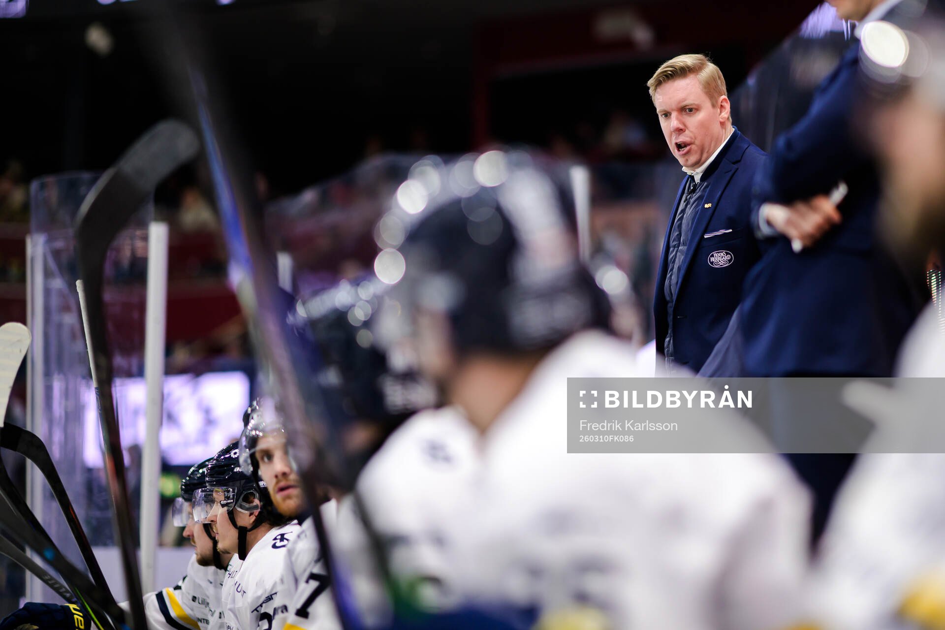 HV71s tränare Anton Blomqvist