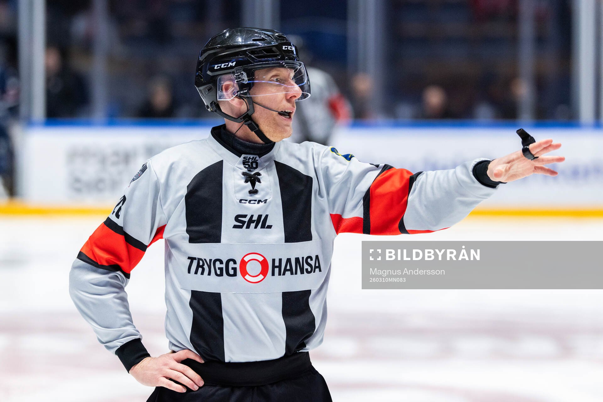 Domare Mikael Holm
