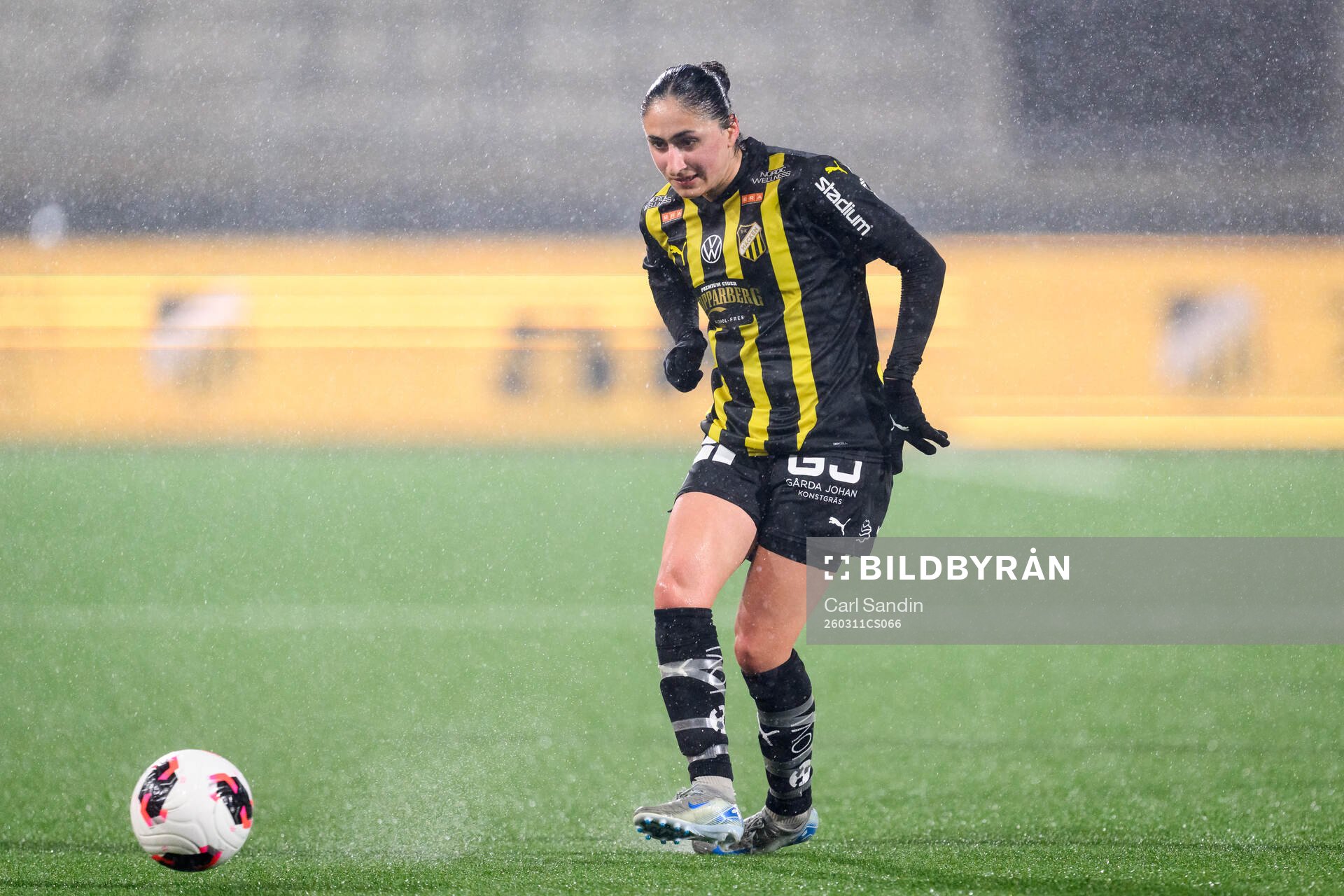 Häckens Nesrin Akgun