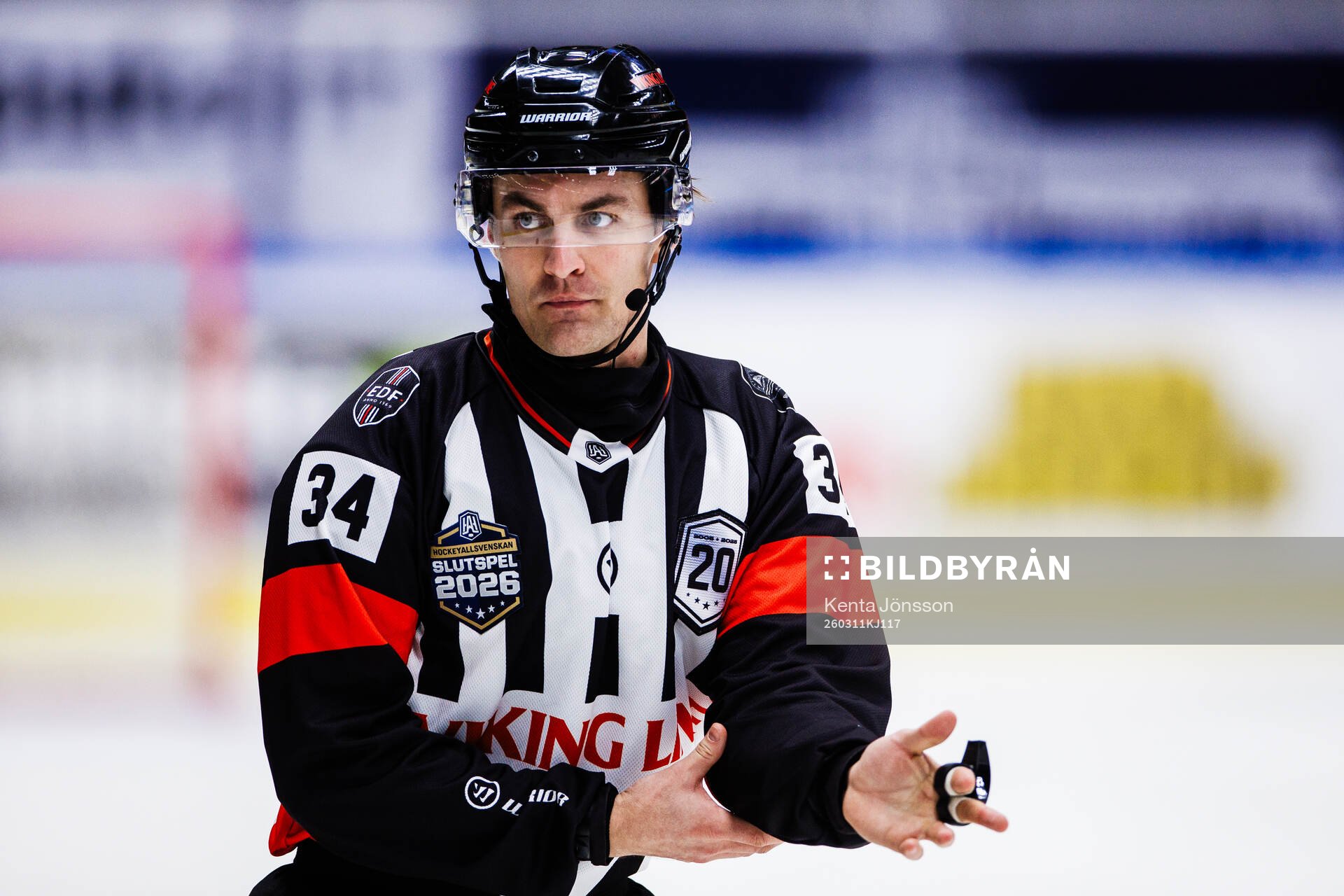 Domare Niclas Lundsgaard