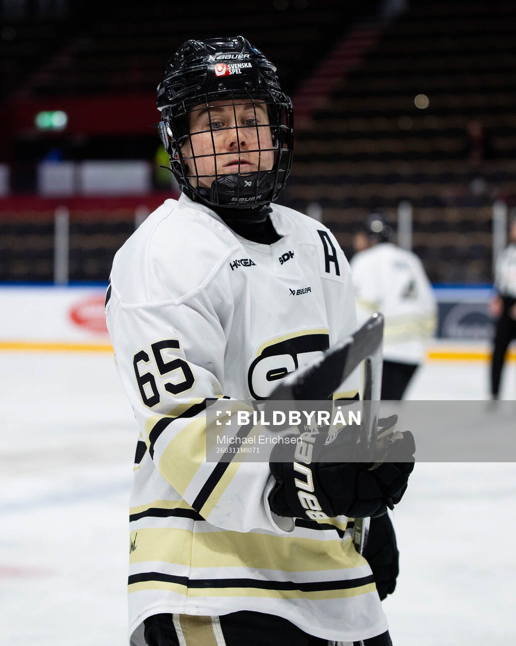 SDEs Lisa Johansson