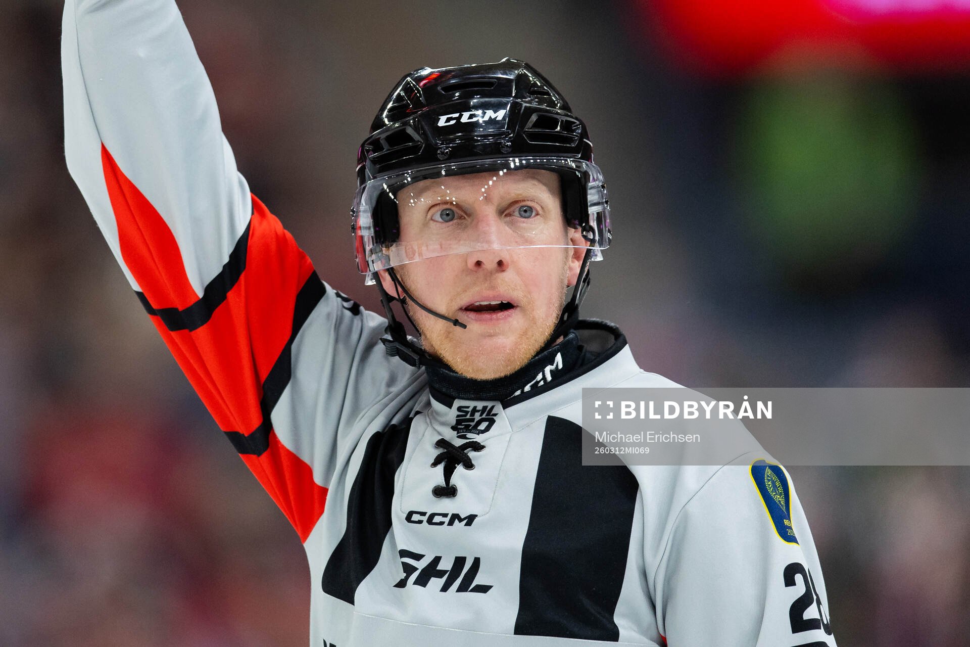 Domare Mikael Holm