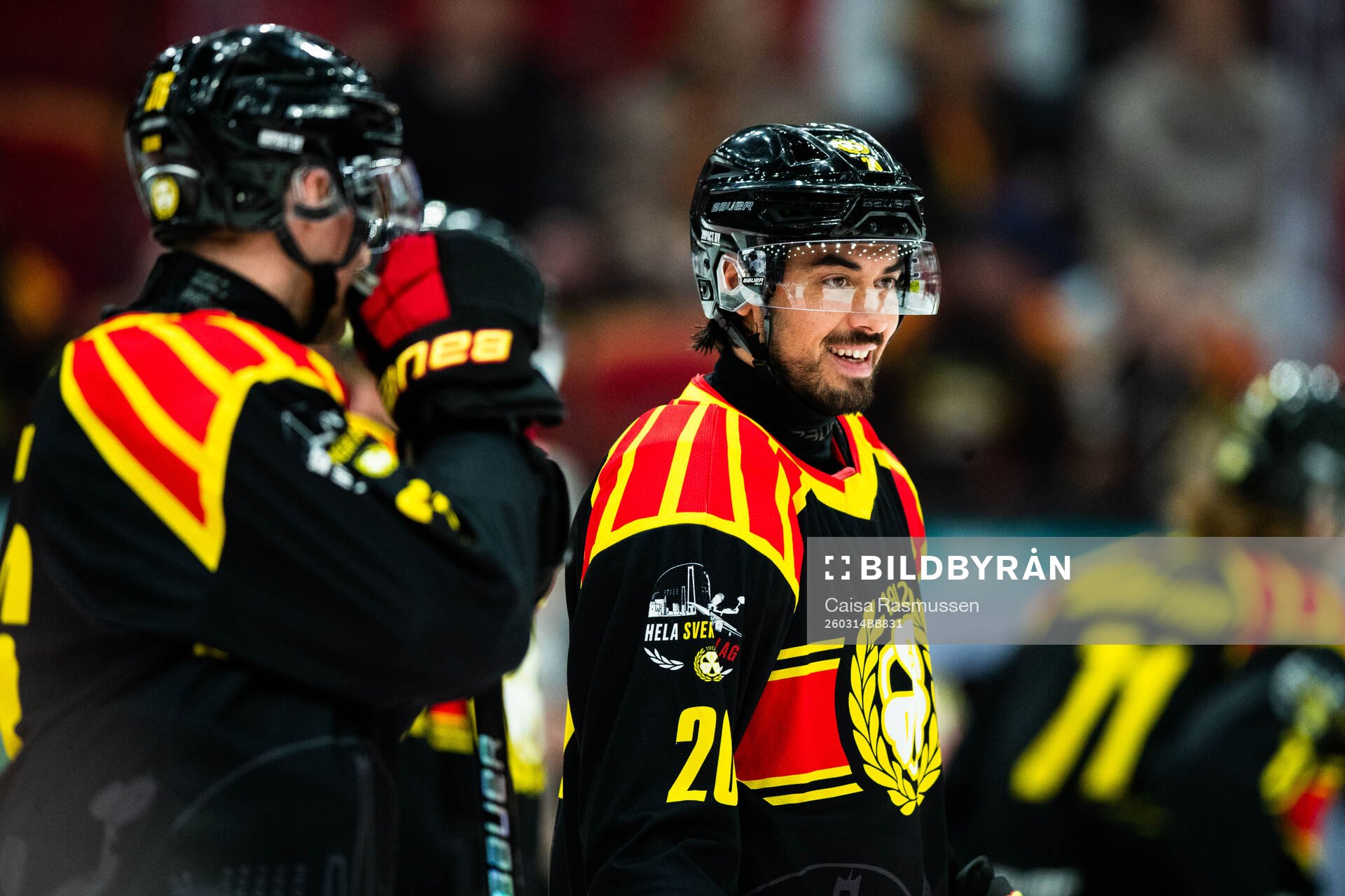Brynäs Tyler Vesel