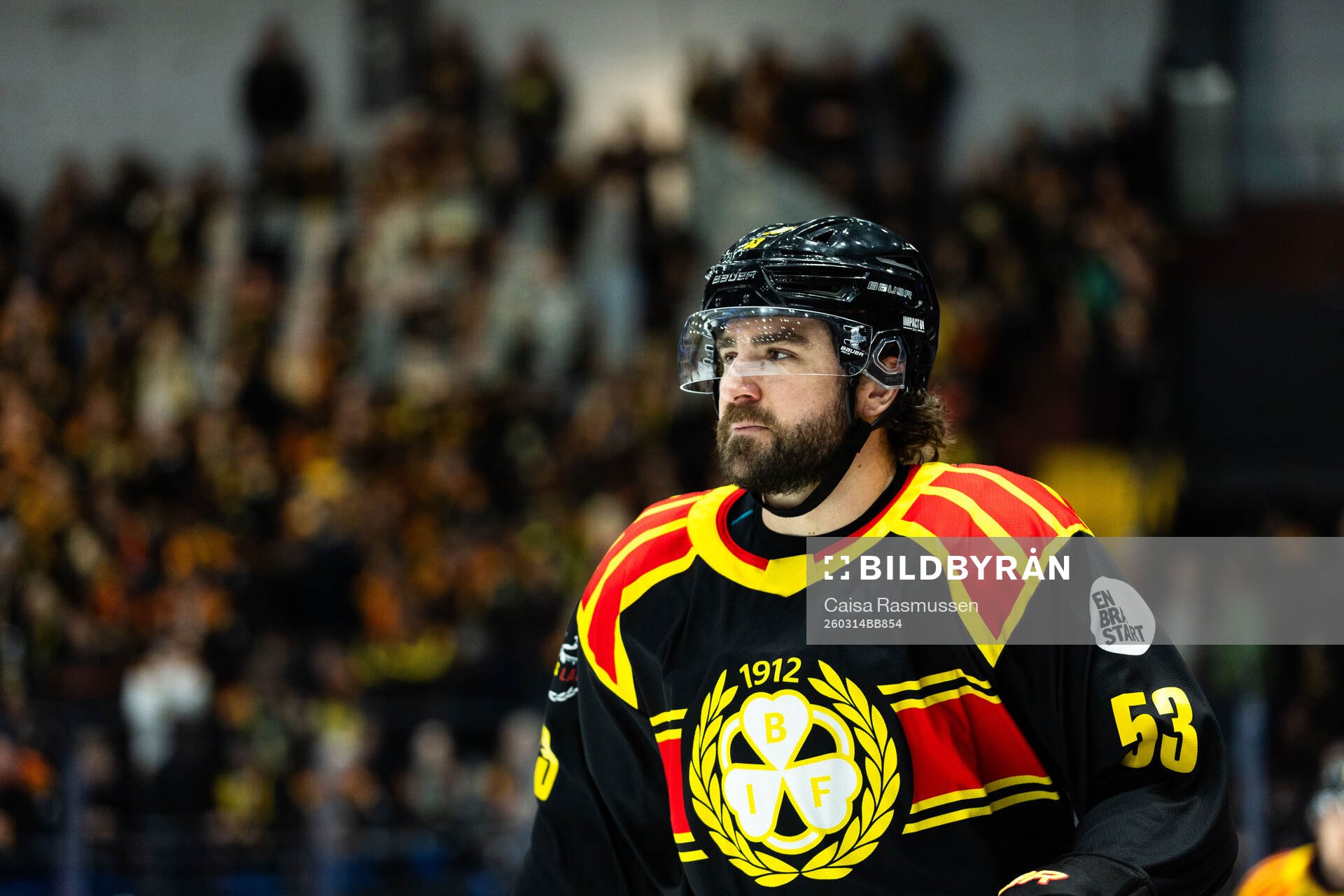 Brynäs Luke Witkowski
