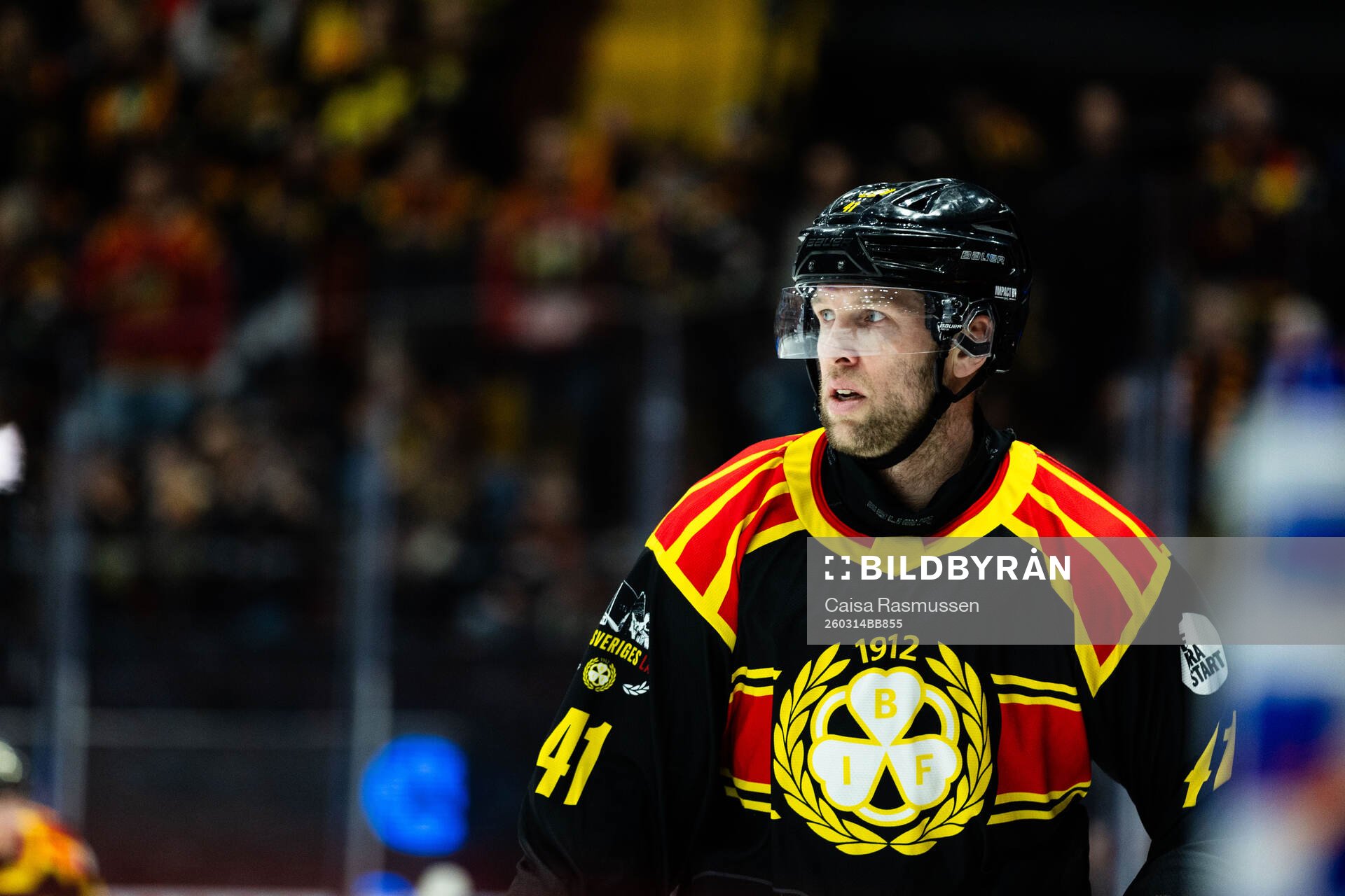 Brynäs Greg Scott