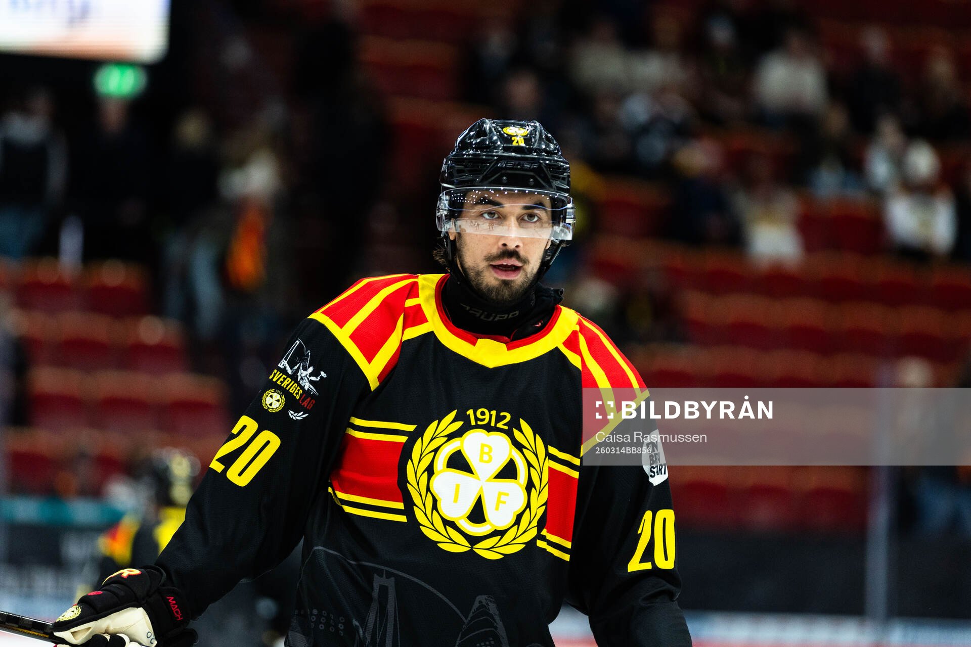 Brynäs Tyler Vesel