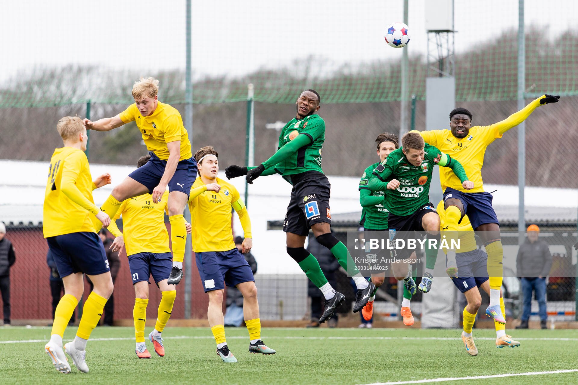 Varbergs Shanyder Borgelin