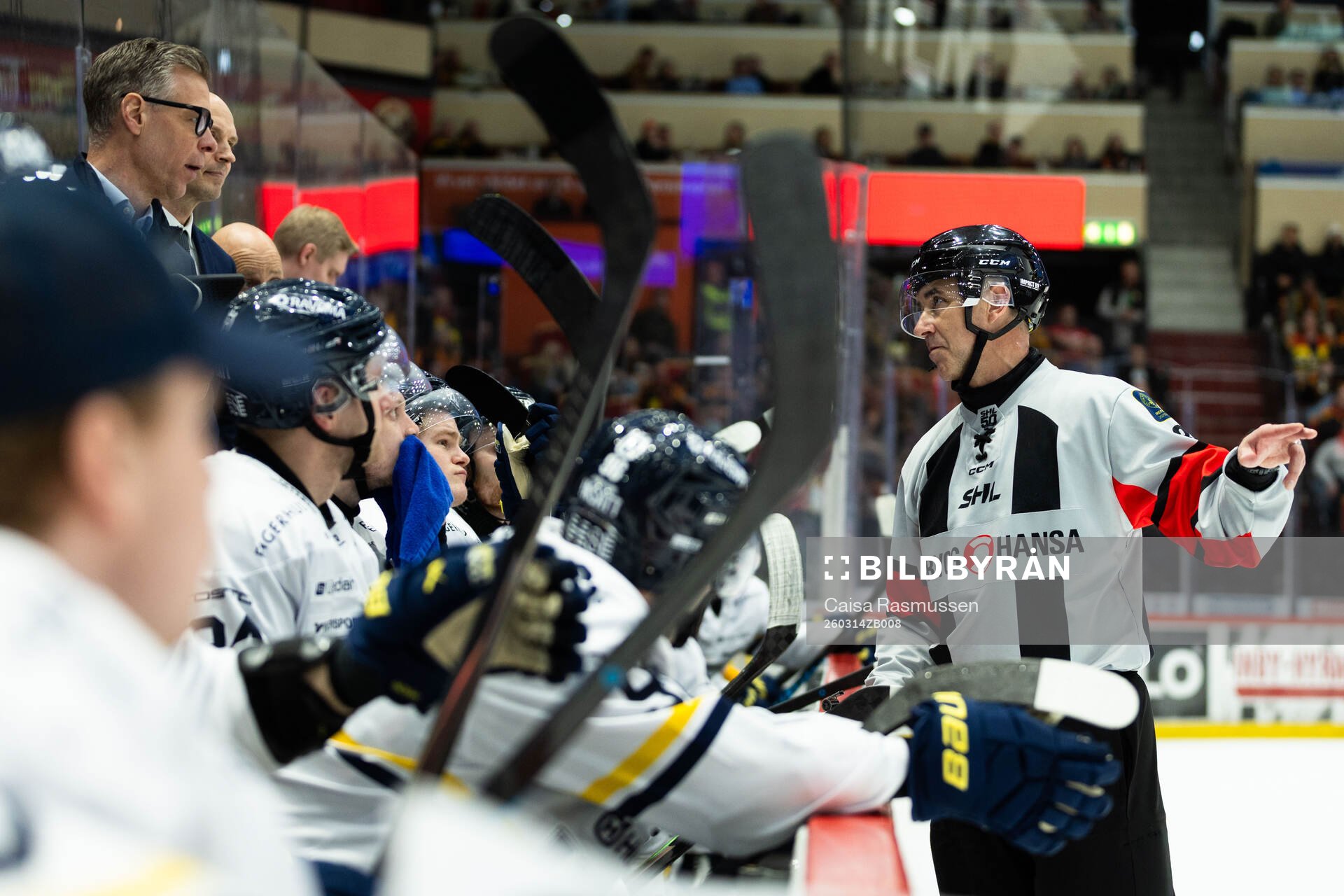 Domare Linus Öhlund pratar med HV71s tränare