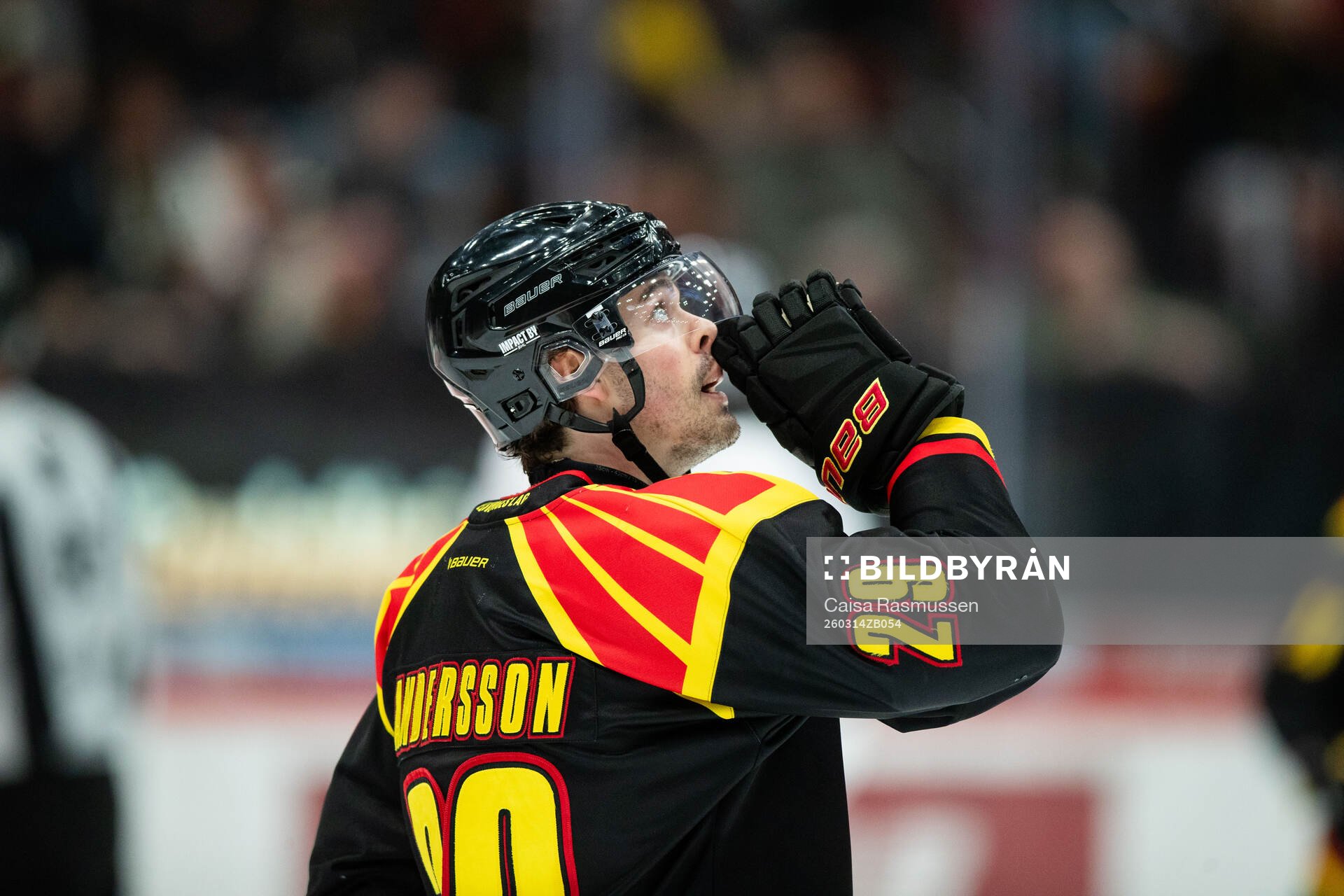 Brynäs Axel Andersson