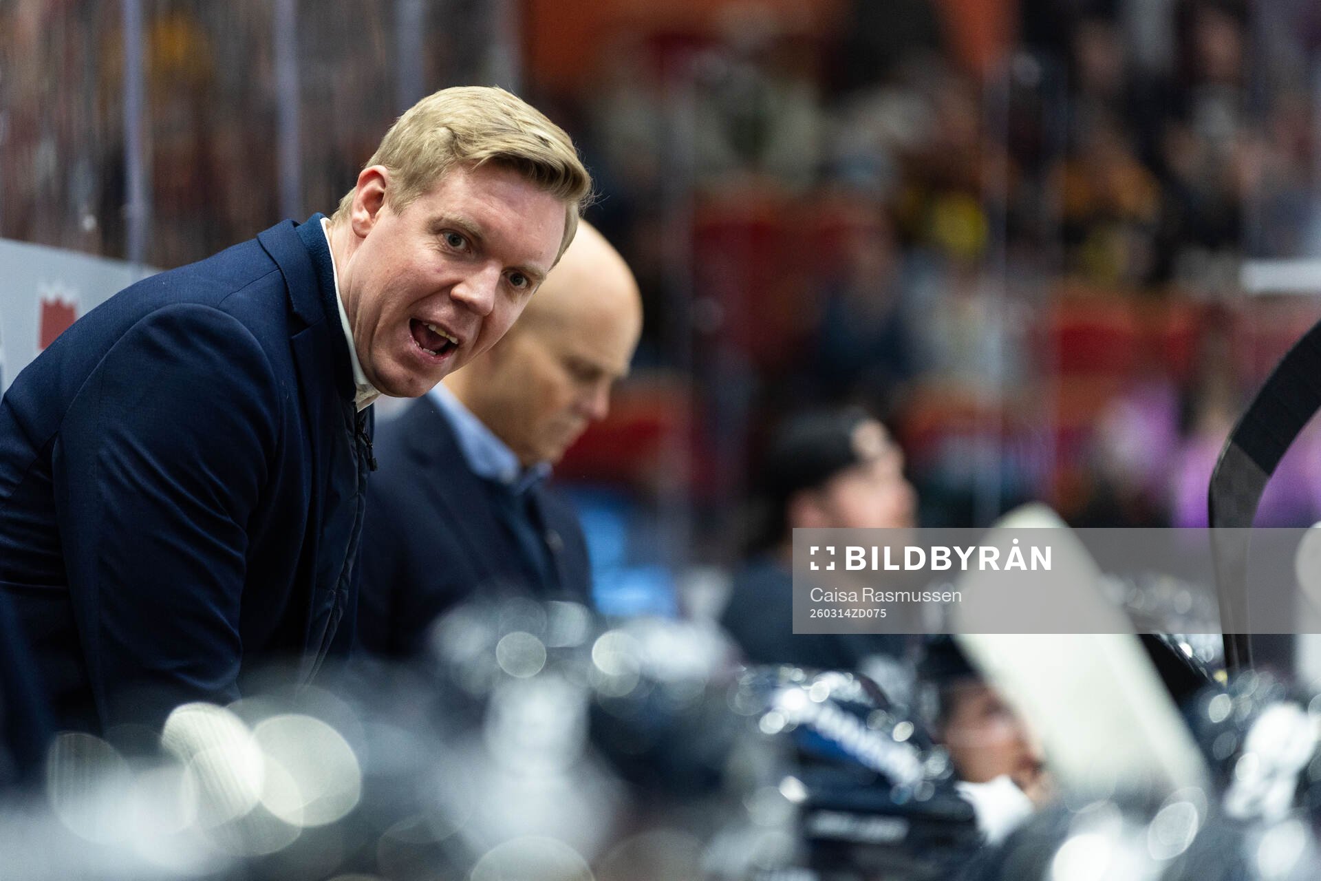 HV71s tränare Anton Blomqvist