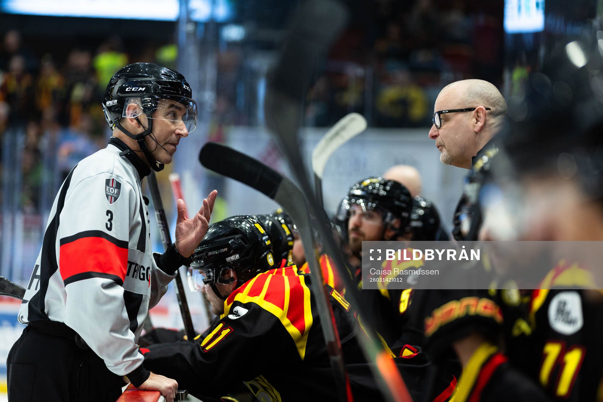Domare Linus Öhlund pratar med Brynäs tränare Niklas