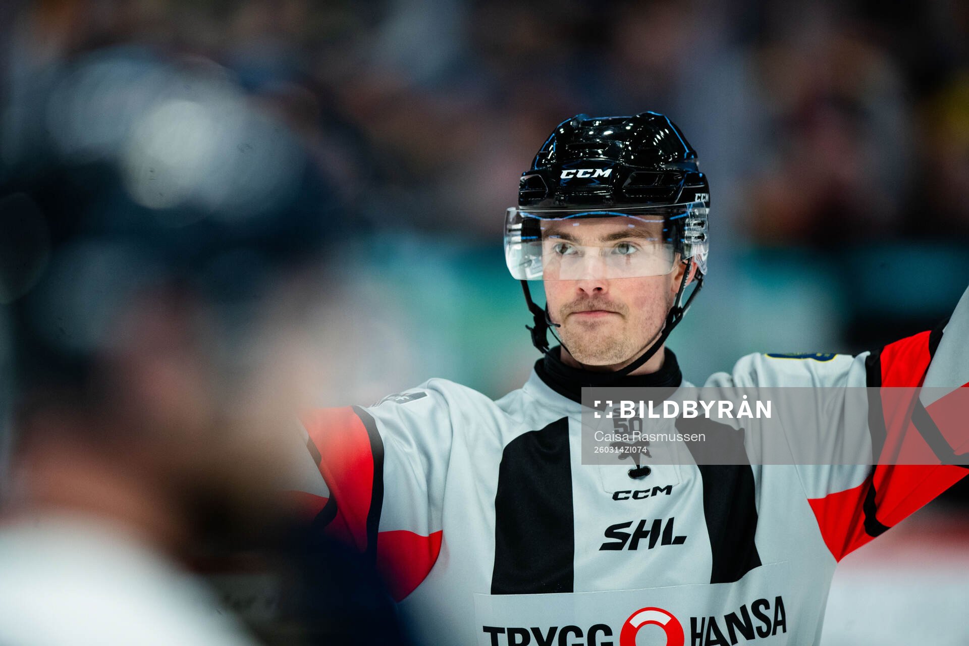 Domare Filip Eriksson