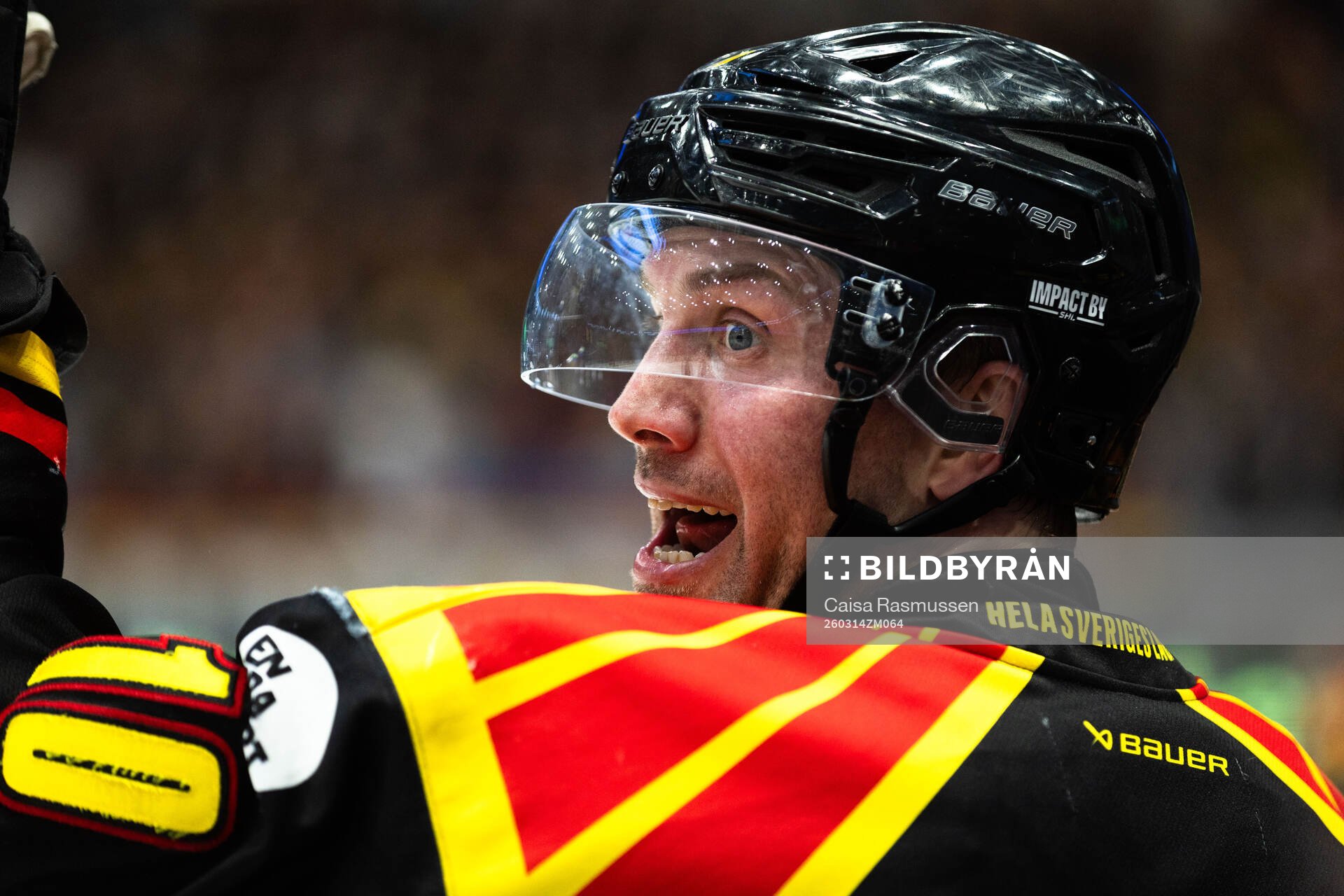 Brynäs Johan Larsson