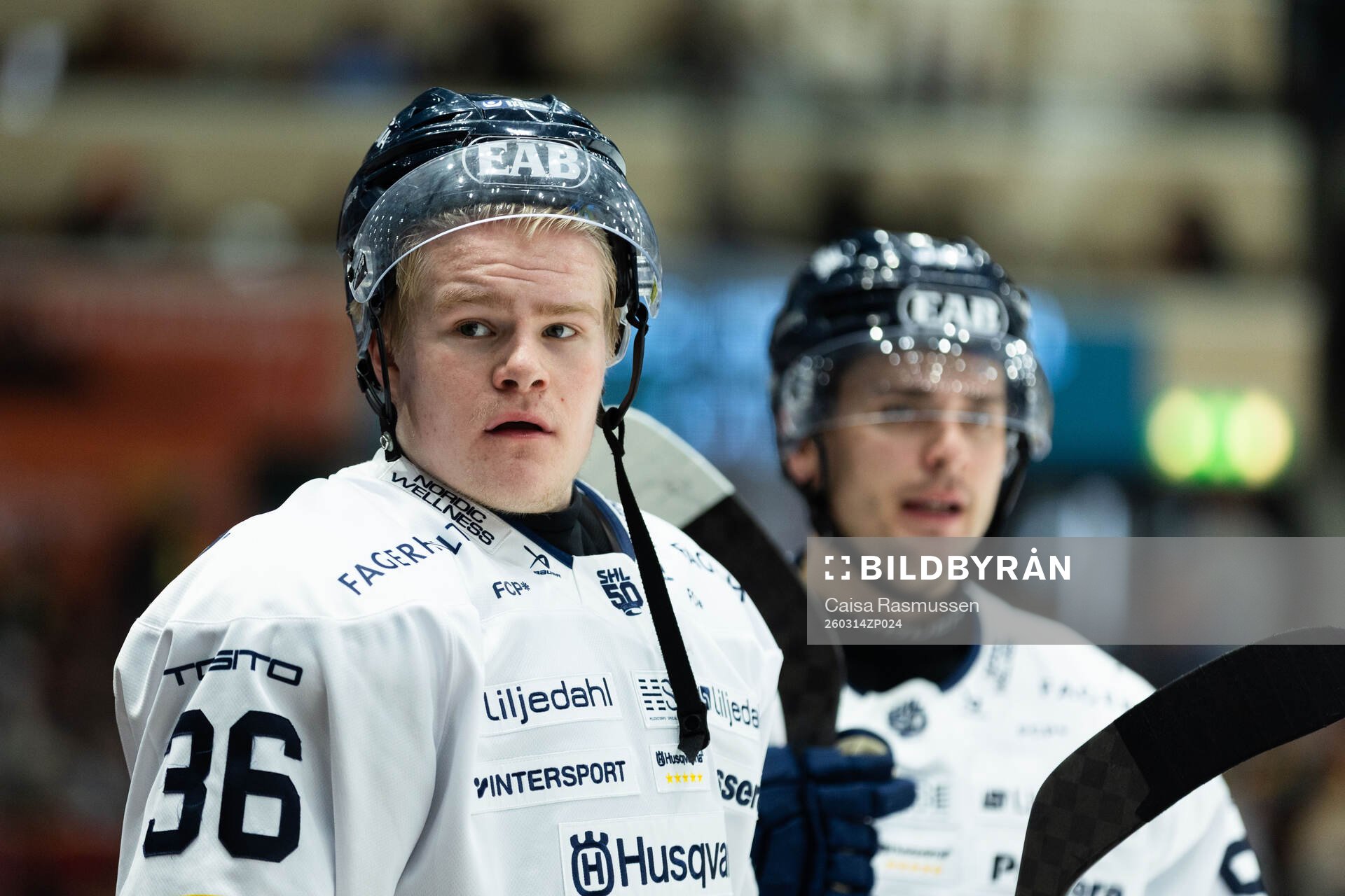HV71s Martin Johnsen