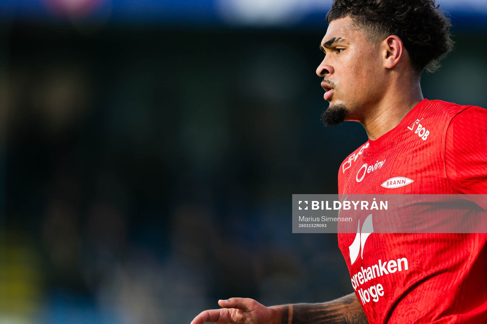 Noah Holm of Brann
