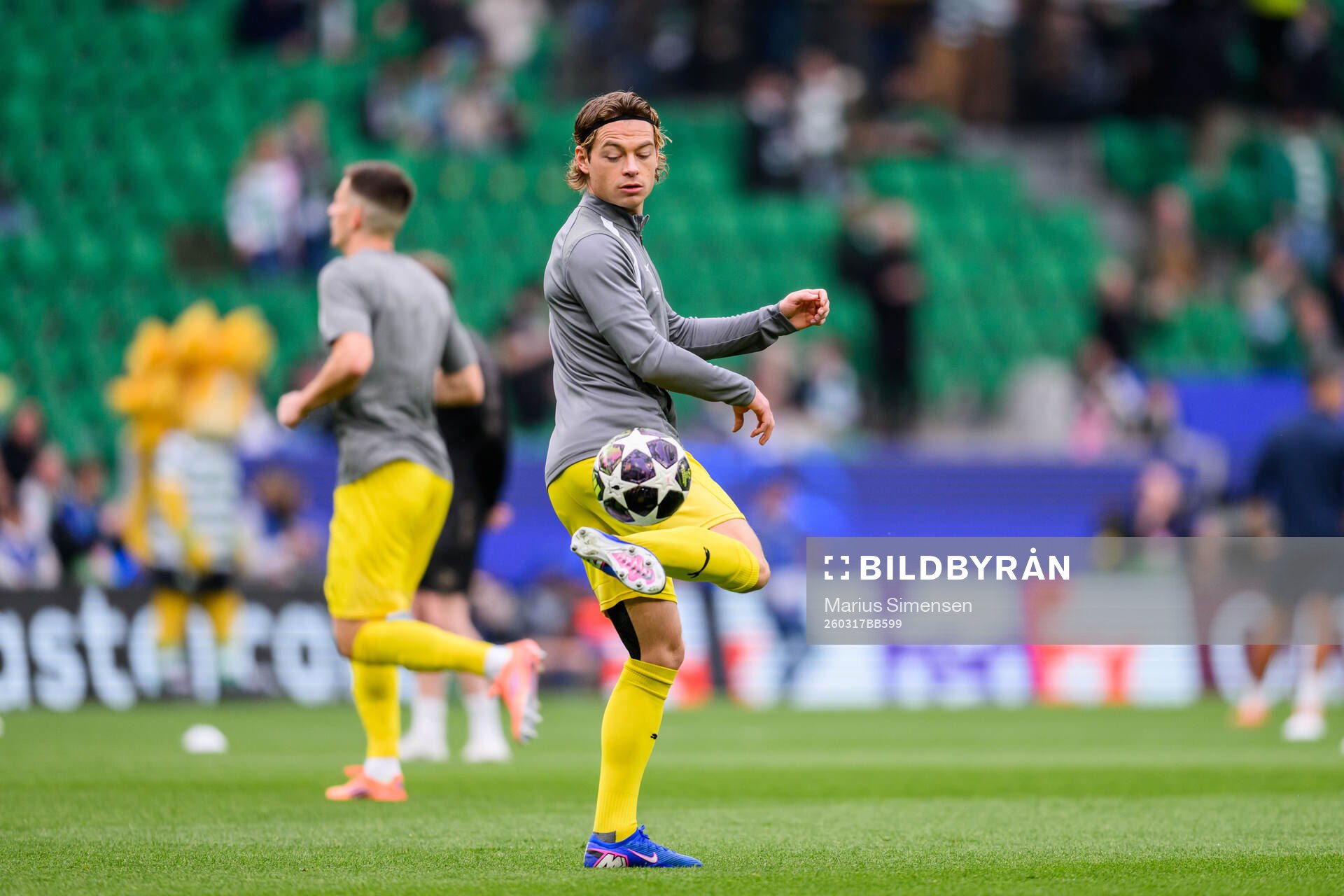 Patrick Berg of Bodø/Glimt