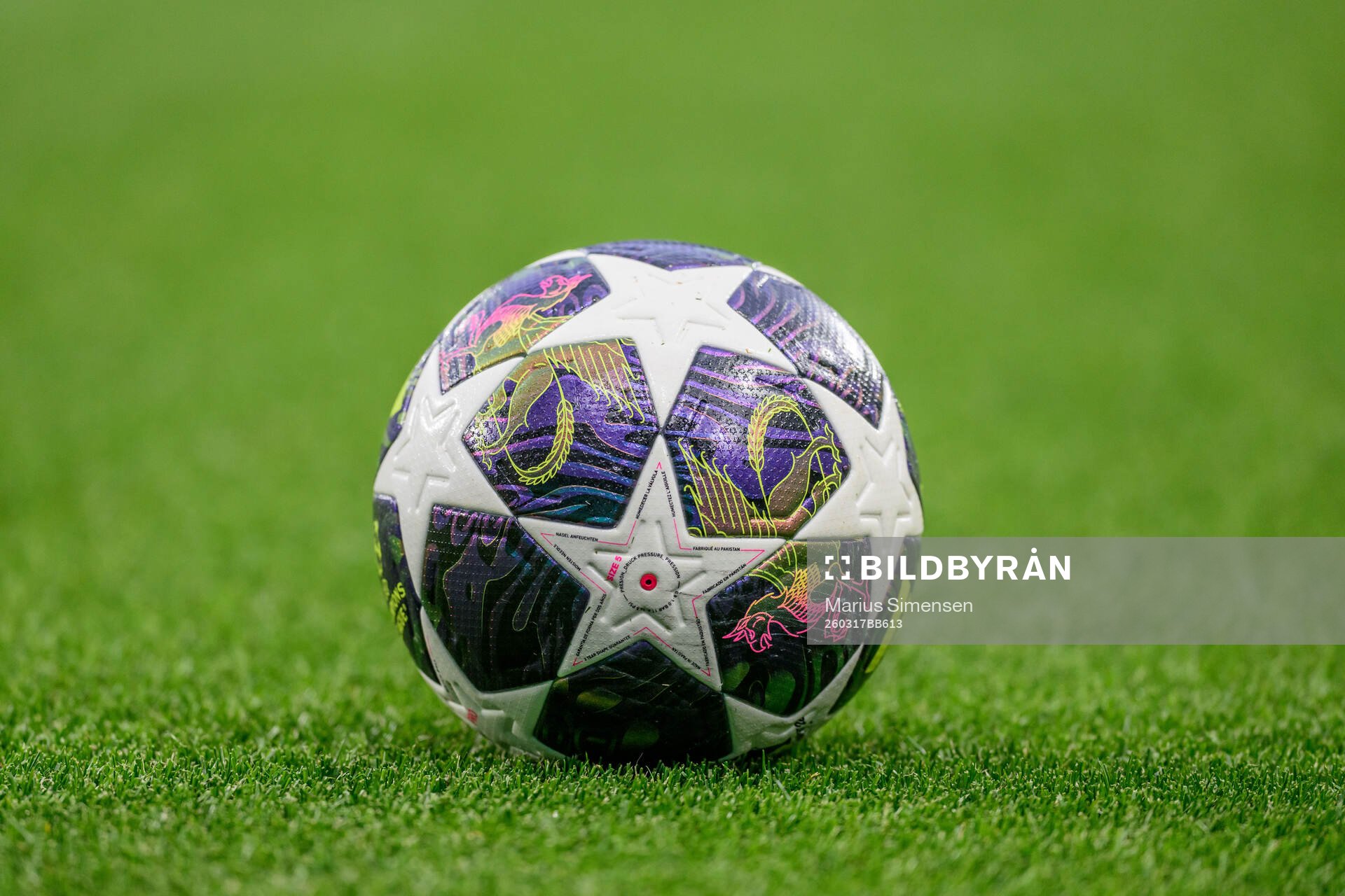 General view of the official ball