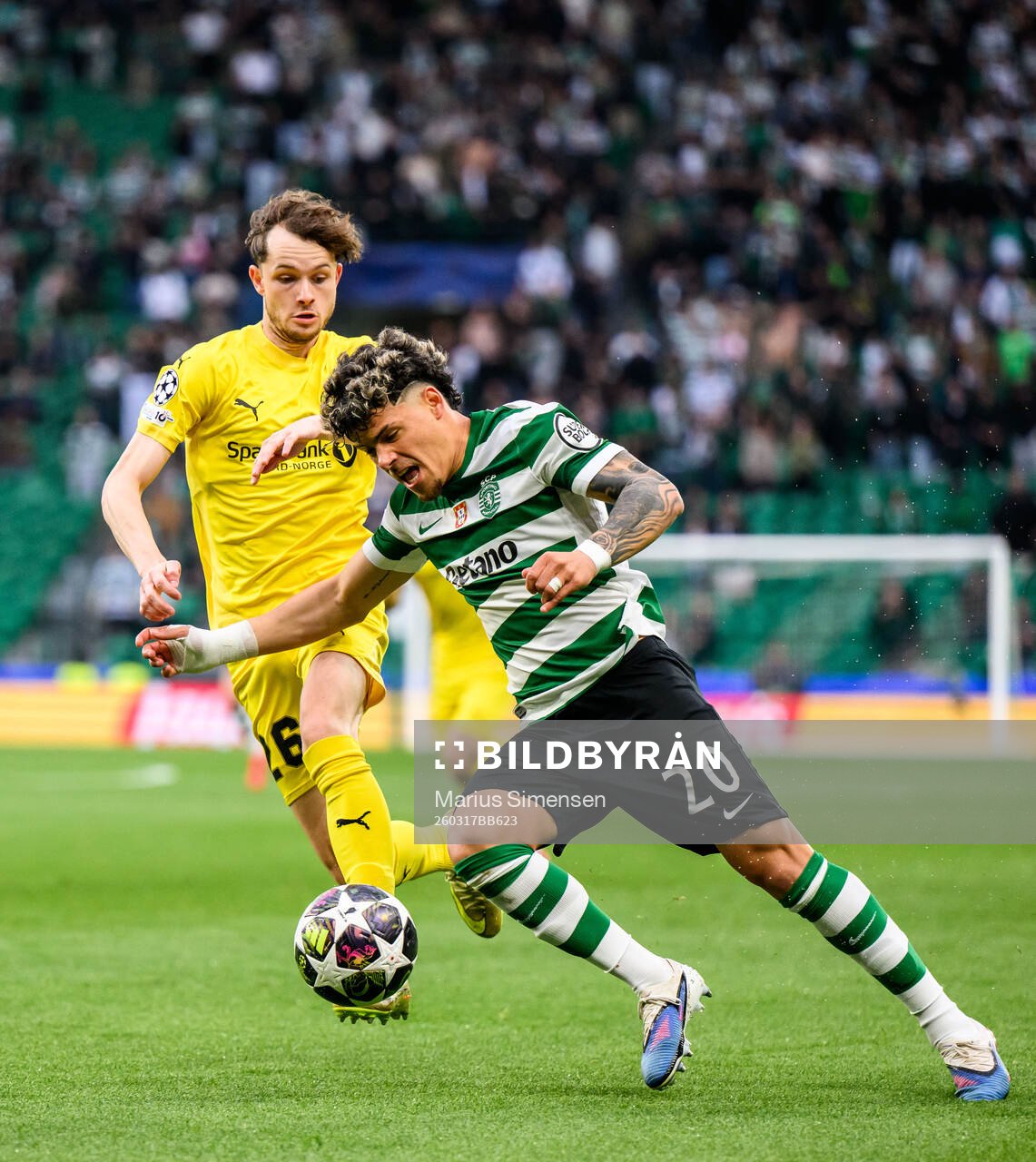 Håkon Evjen of Bodø/Glimt and Maximiliano Araújo of