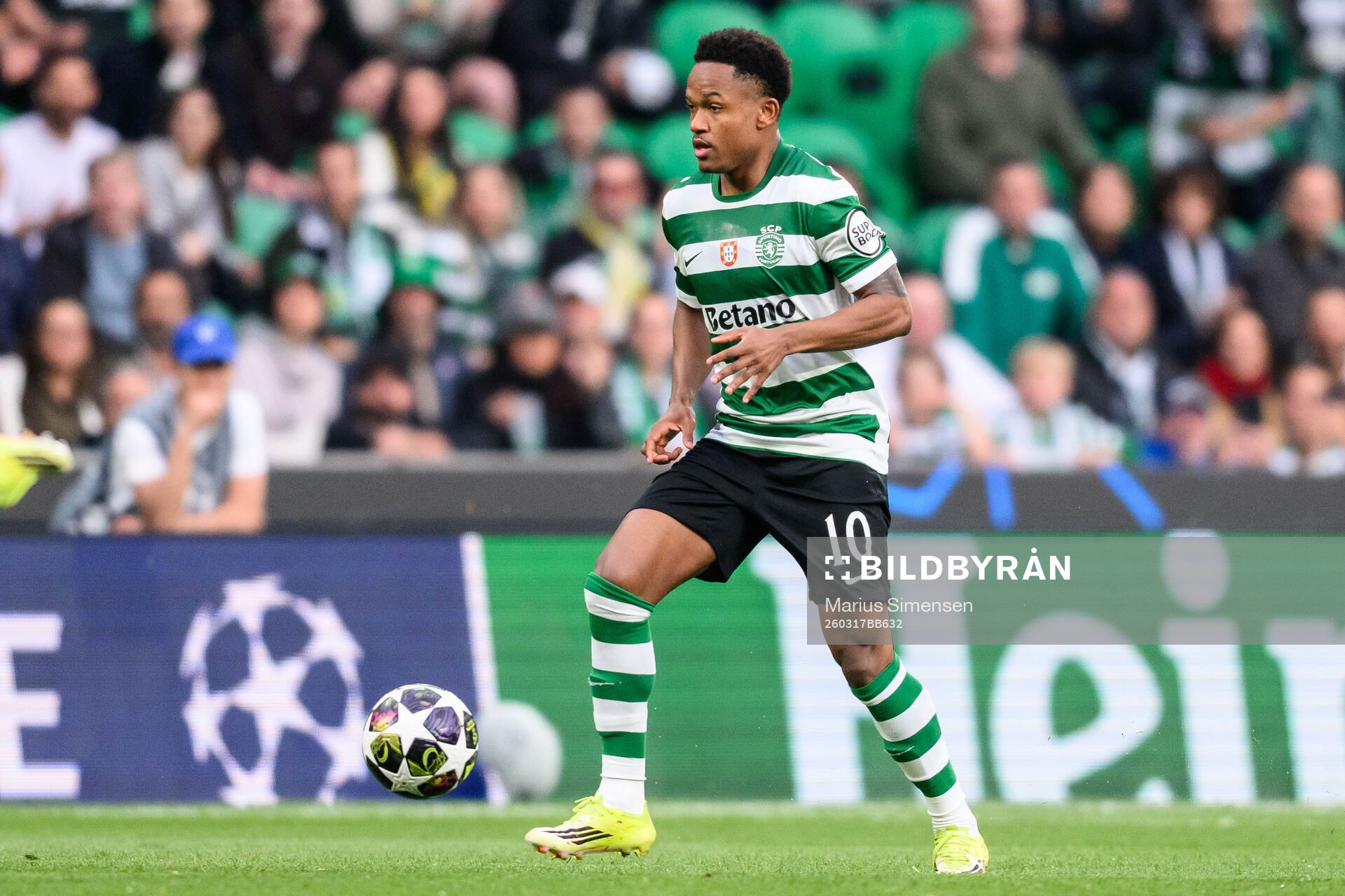 Geny Catamo of Sporting