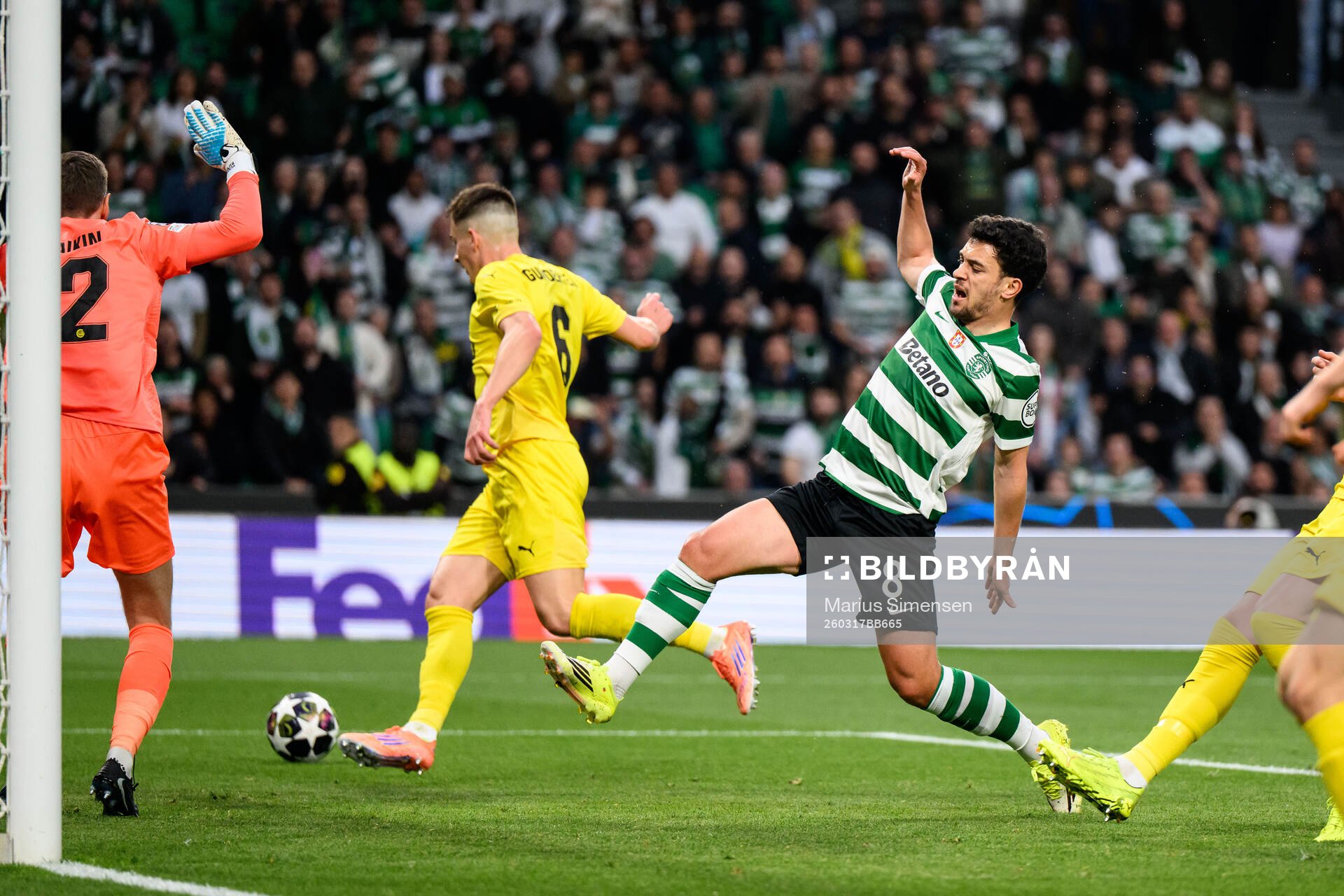 Pedro Gonçalves of Sporting against Jostein Gundersen of
