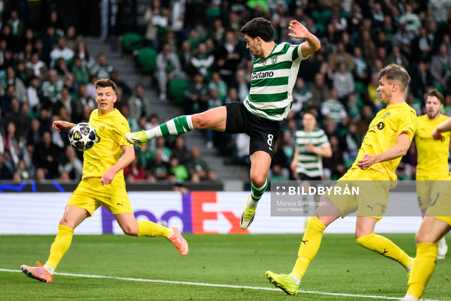 Pedro Gonçalves of Sporting