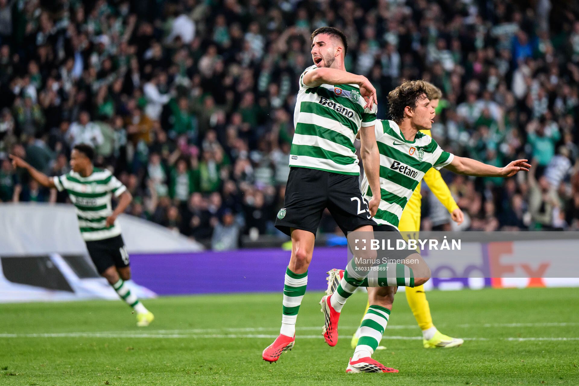 Gonçalo Inácio of Sporting celebrates