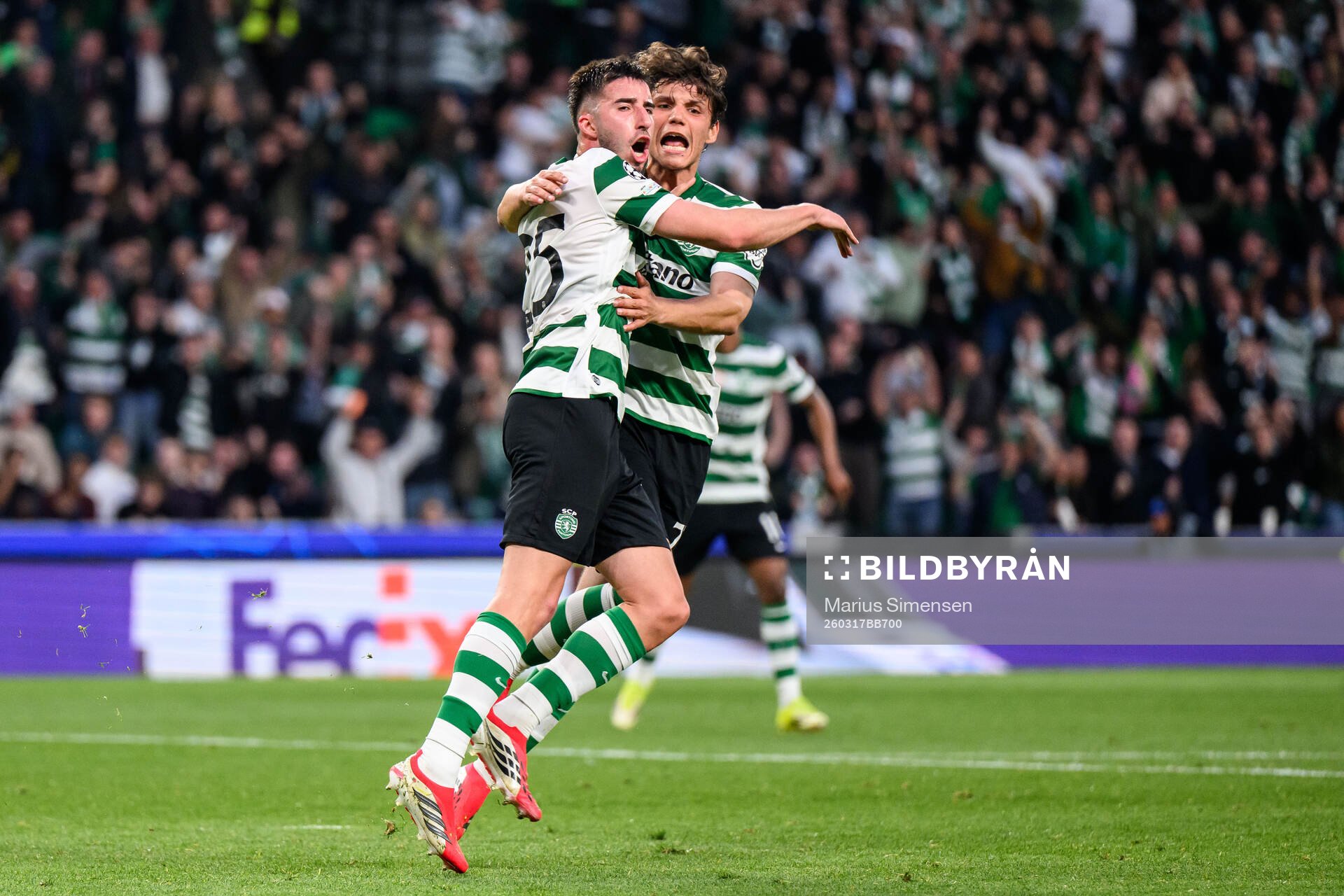 Gonçalo Inácio of Sporting celebrates