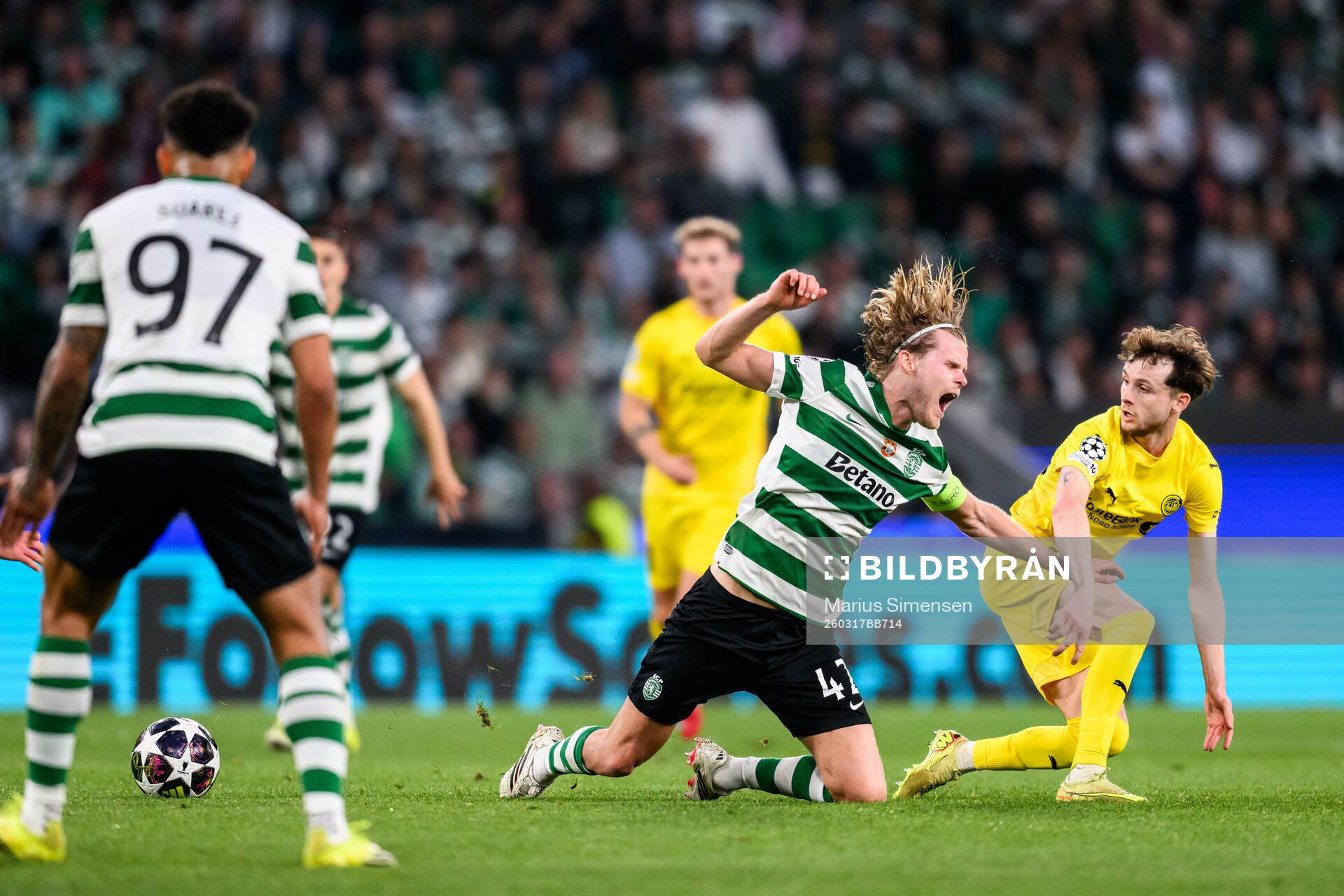 Morten Hjulmand of Sporting and Håkon Evjen of Bodø/Glimt