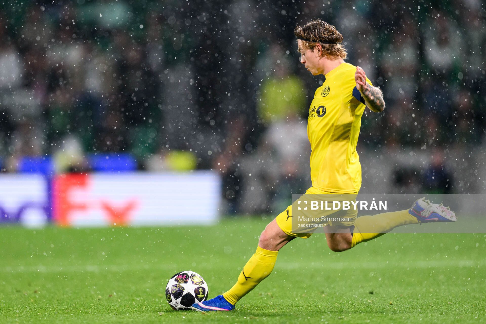 Patrick Berg of Bodø/Glimt