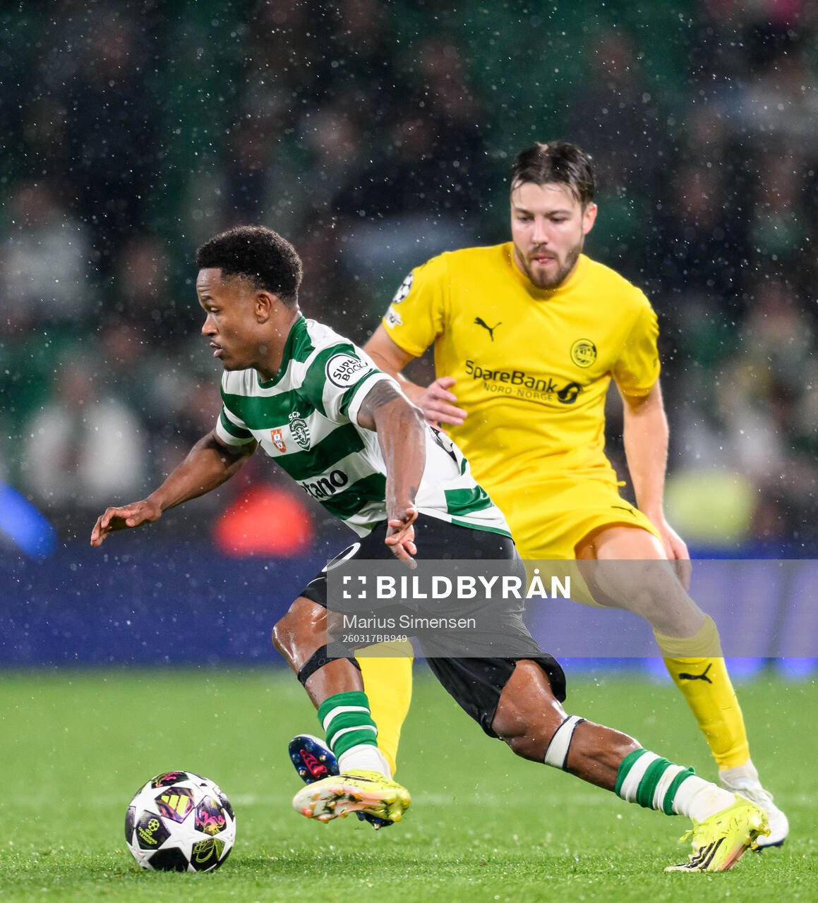 Geny Catamo of Sporting