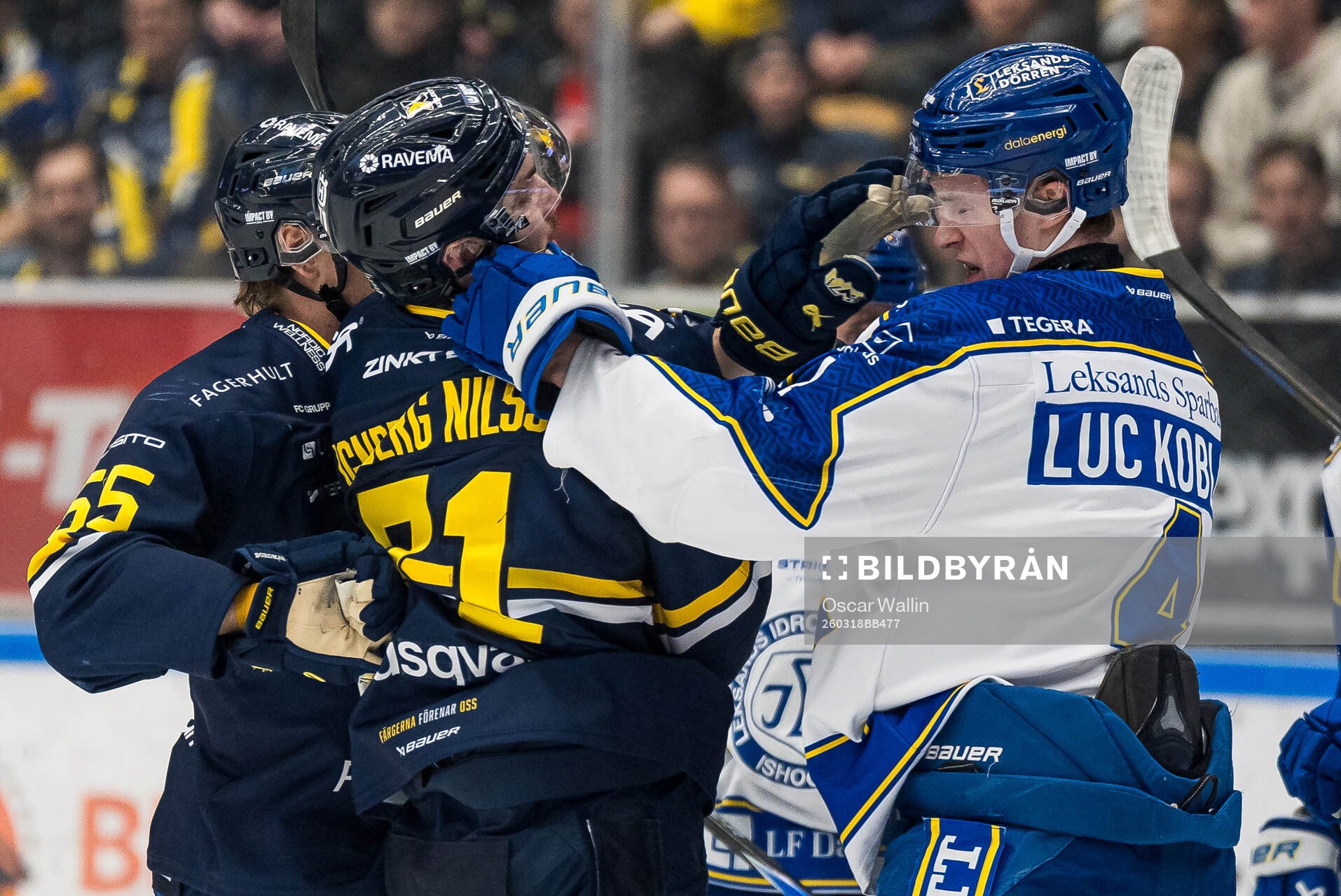 HV71s William Ignberg Nilsson och Leksands Tinus Luc Koblar