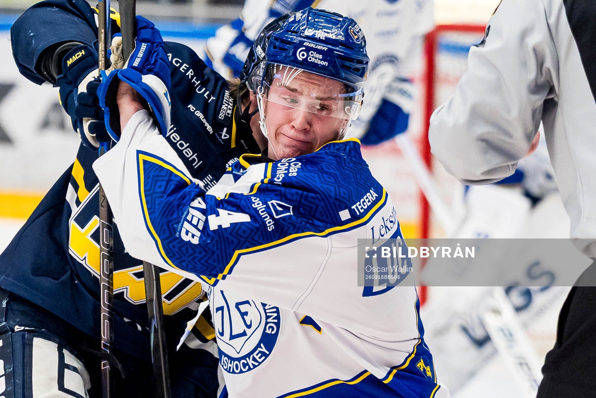 HV71s Justin Glenn Kloos