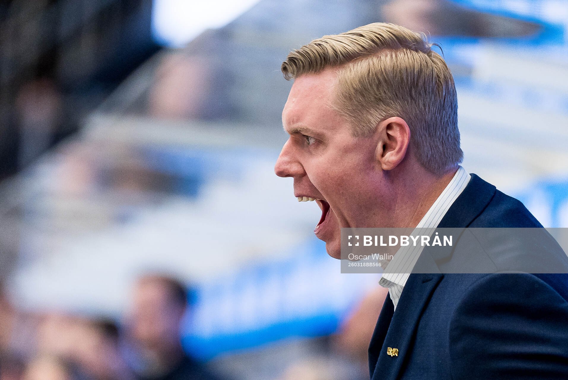 HV71s tränare Anton Blomqvist