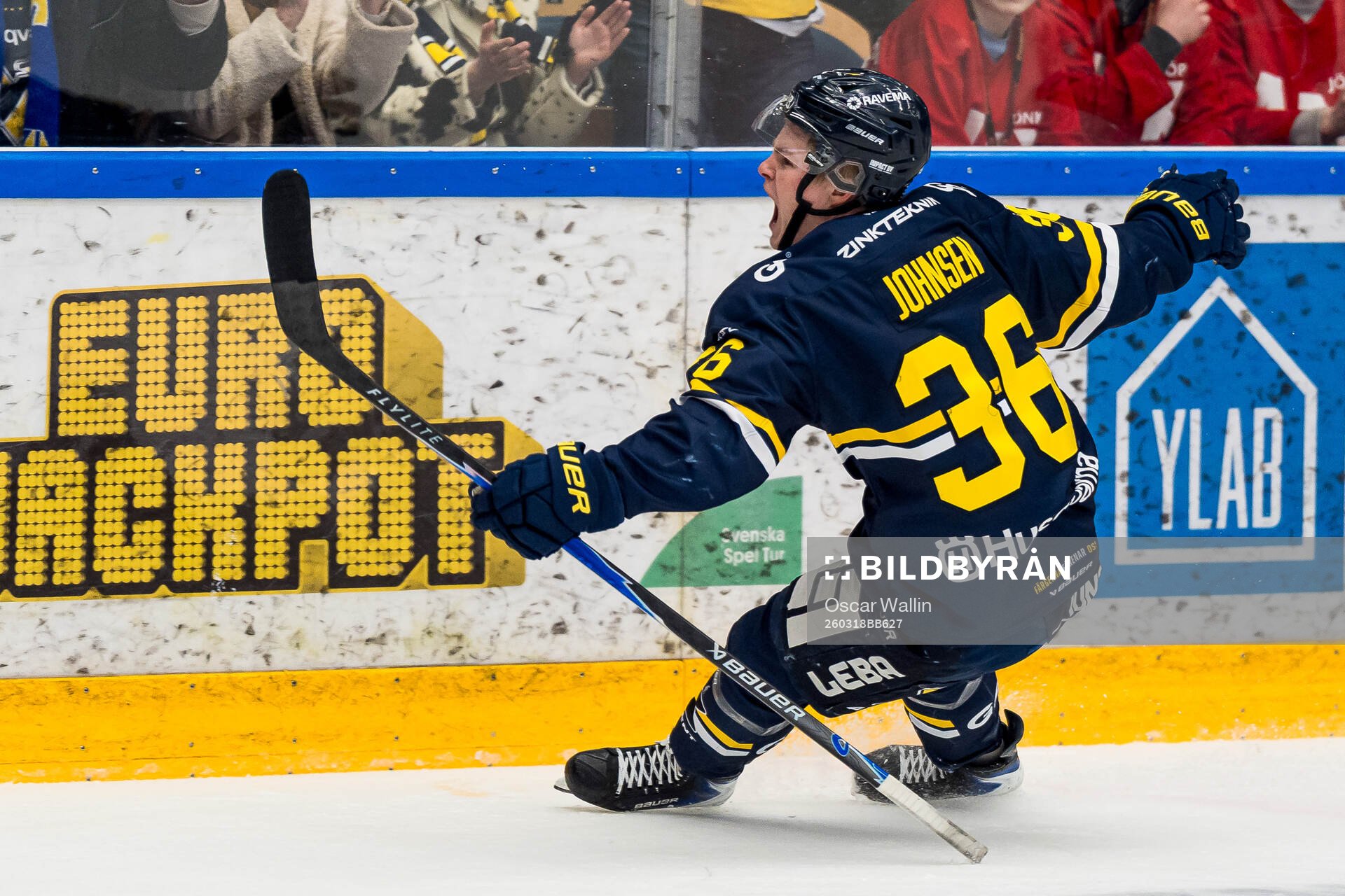 HV71s Martin Johnsen jublar
