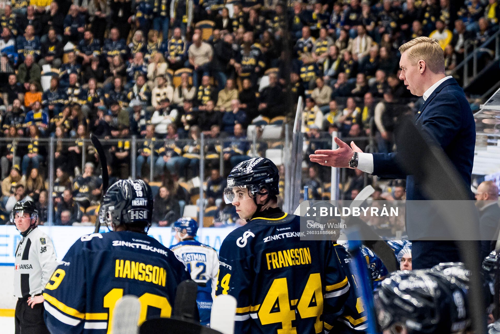 HV71s tränare Anton Blomqvist