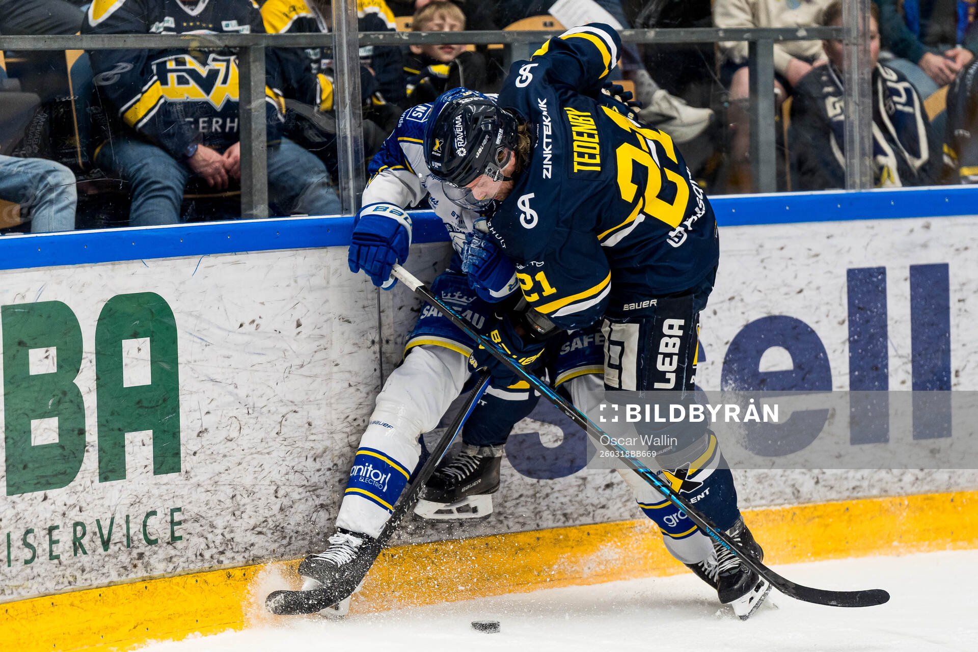 HV71s Mattias Tedenby