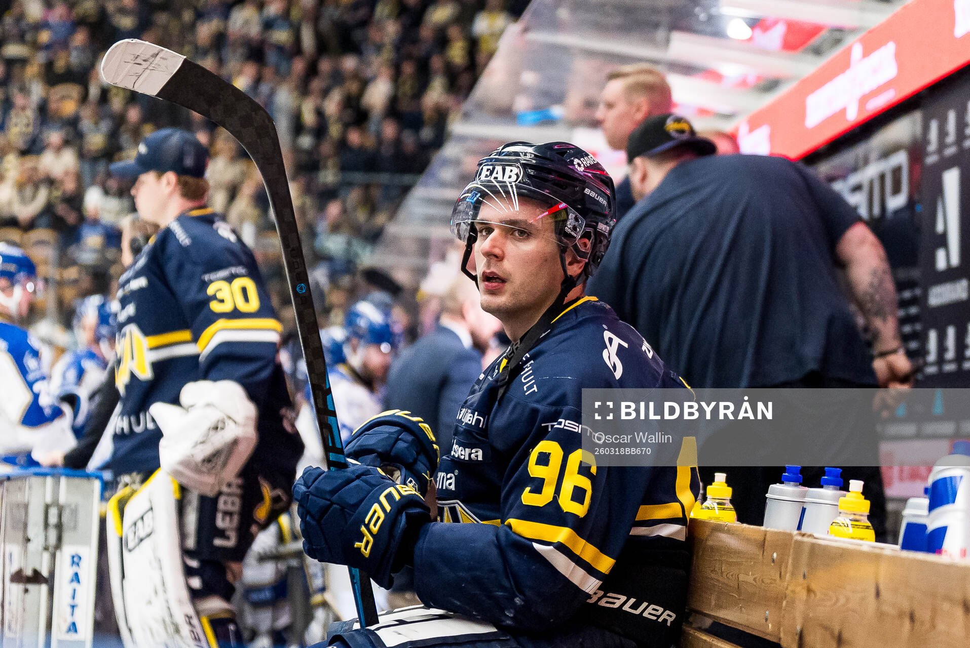 HV71s Nikola Pasic