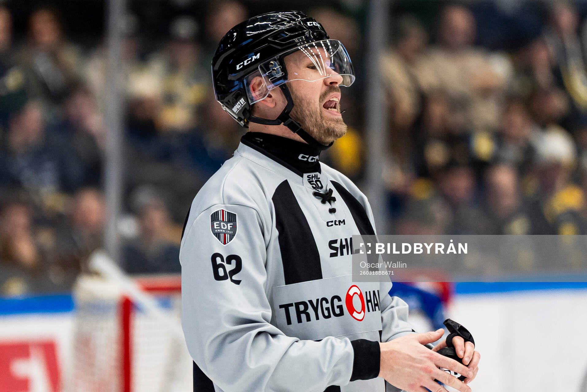 Linjedomare Daniel Persson