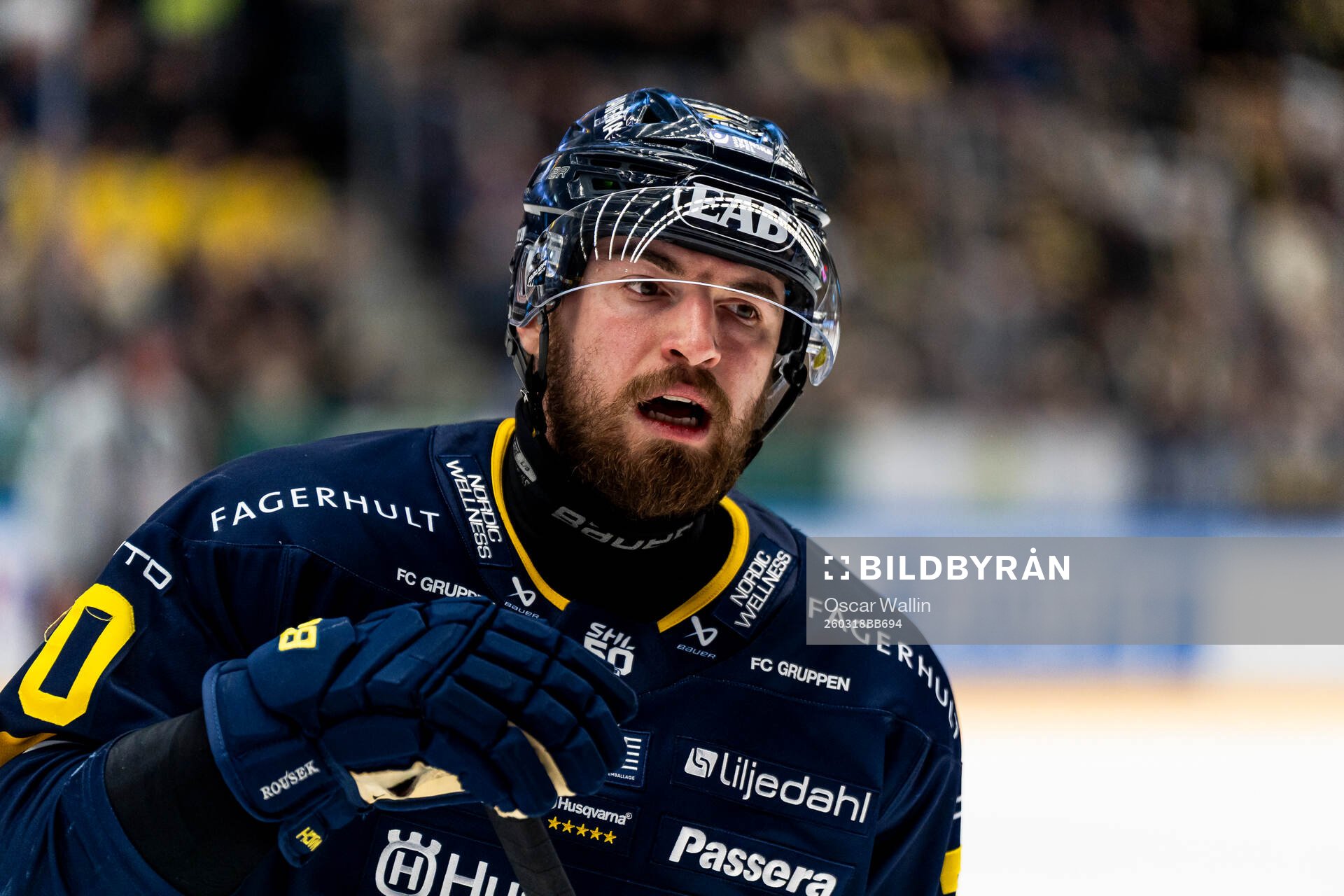HV71s Lukas Rousek