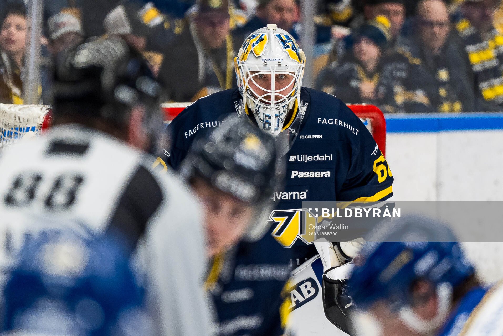HV71s målvakt Felix Sandström