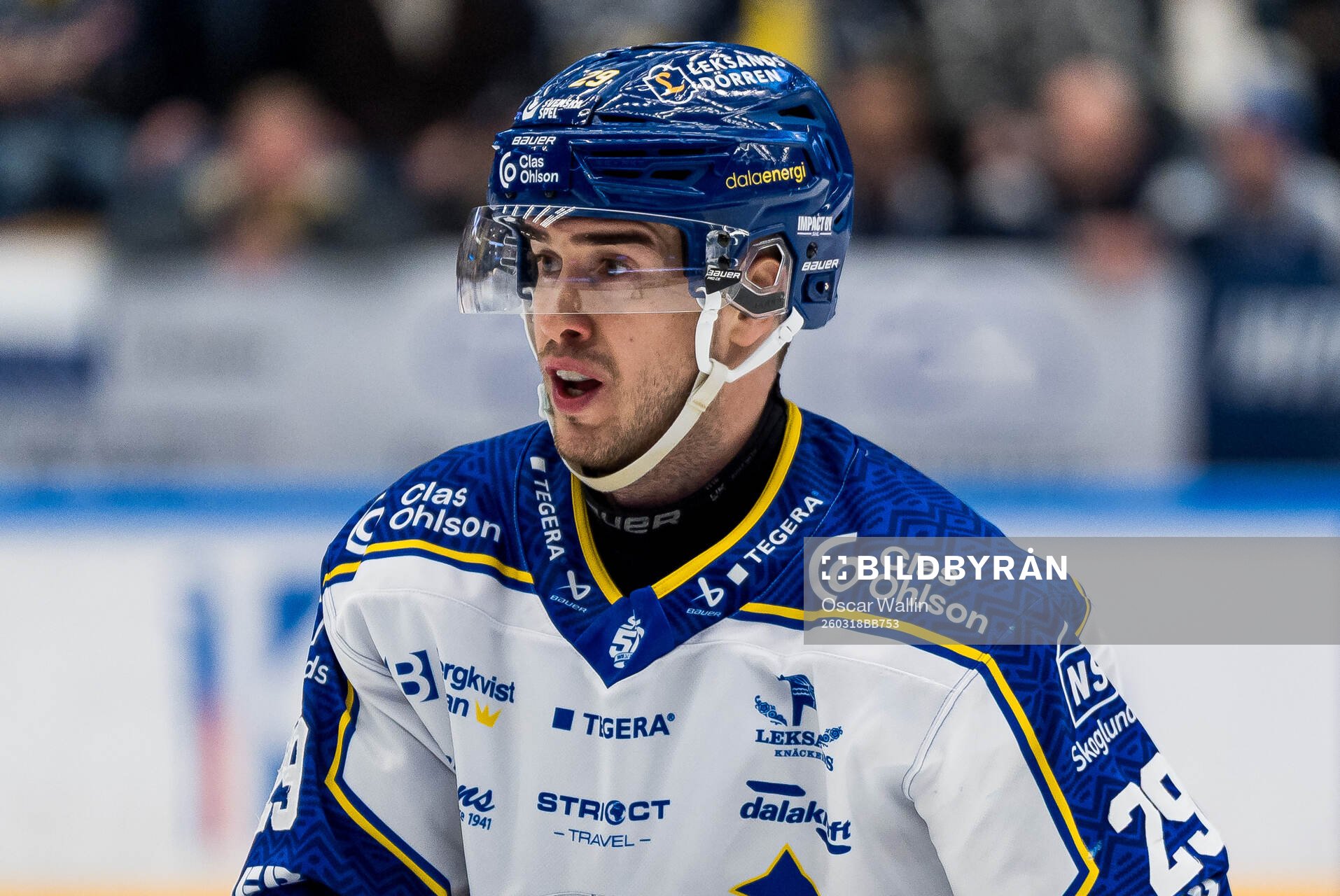 Leksands Michael Lindqvist